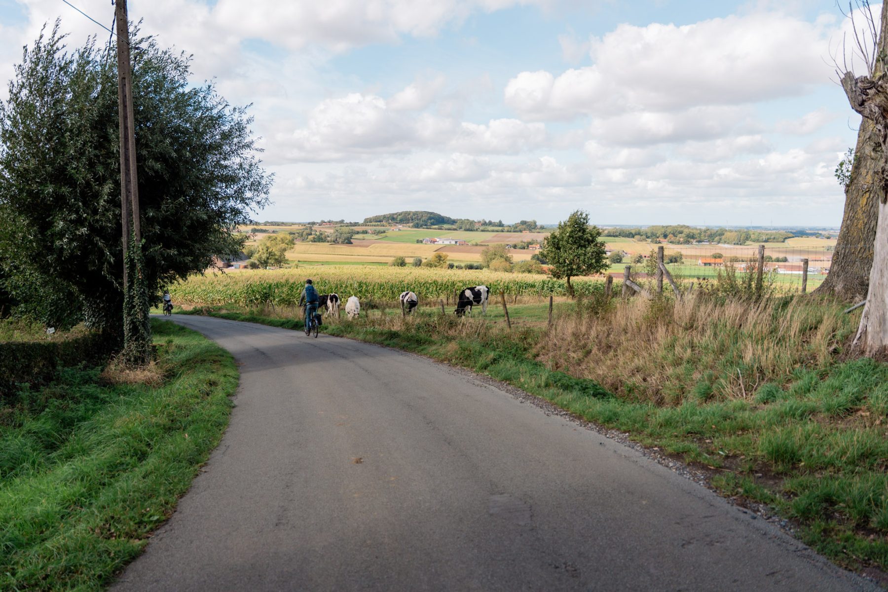 Westhoek, Vlaanderen