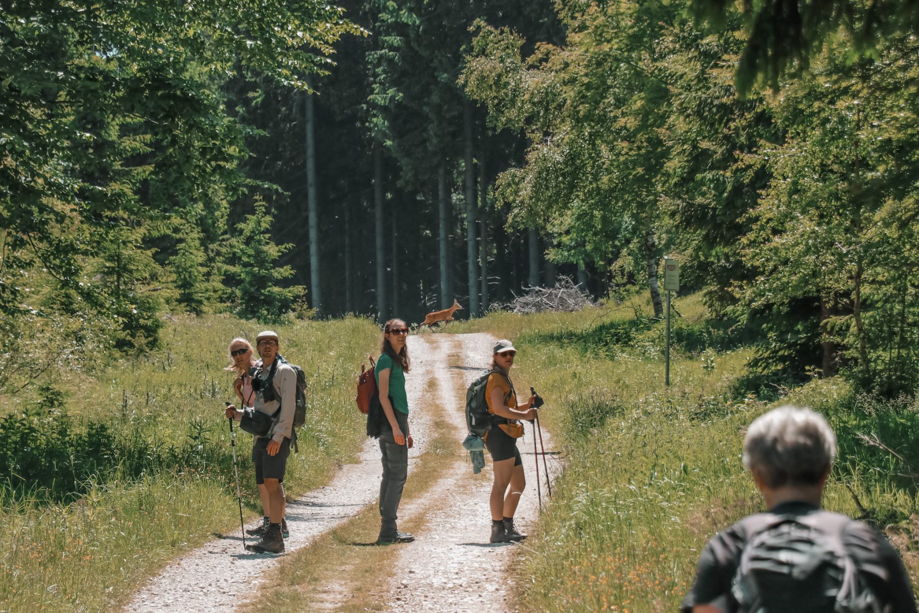 Krokonose Biertrail - Tsjechie - The Outdoors - The Hike
