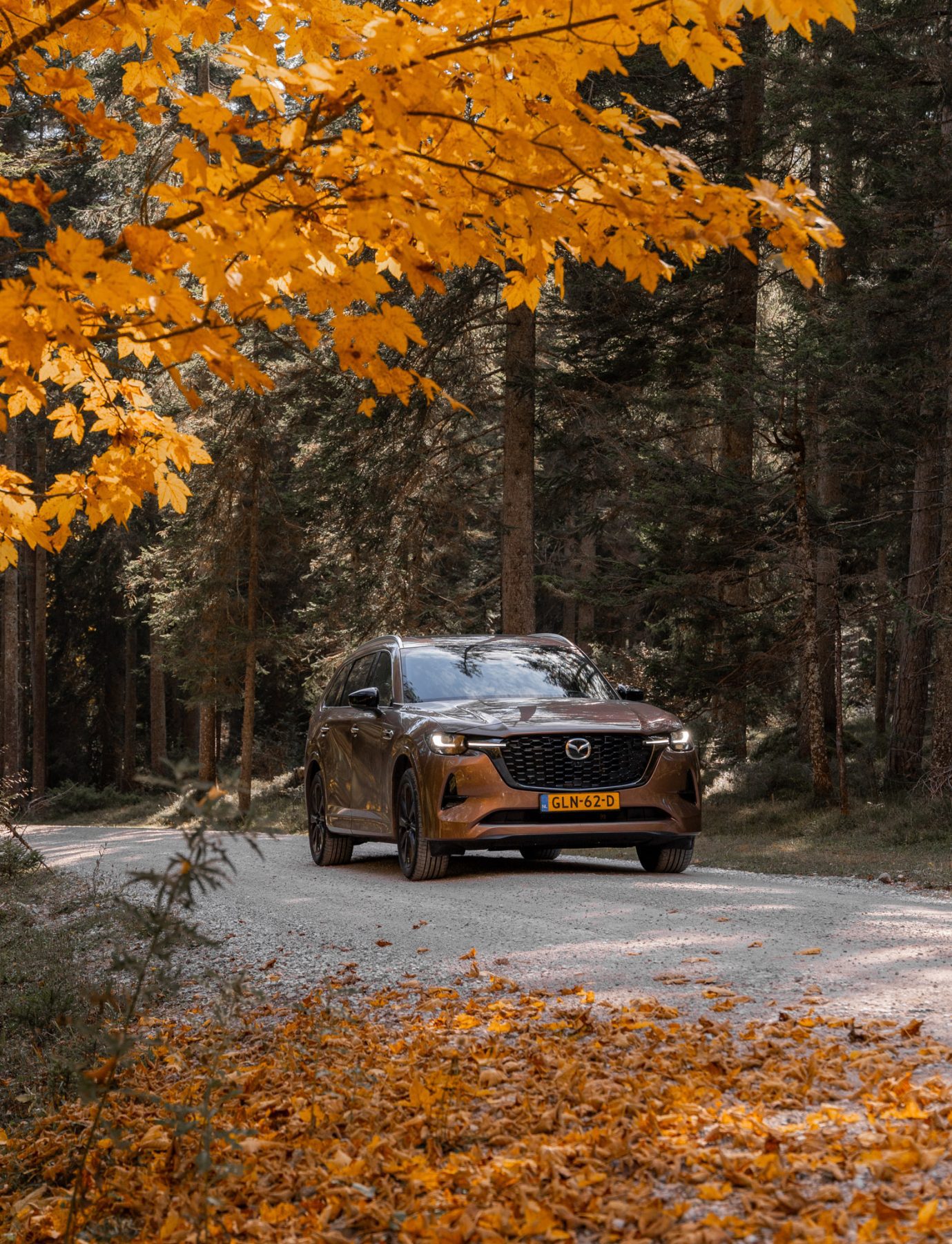 Mazda CX-80 Melting Copper