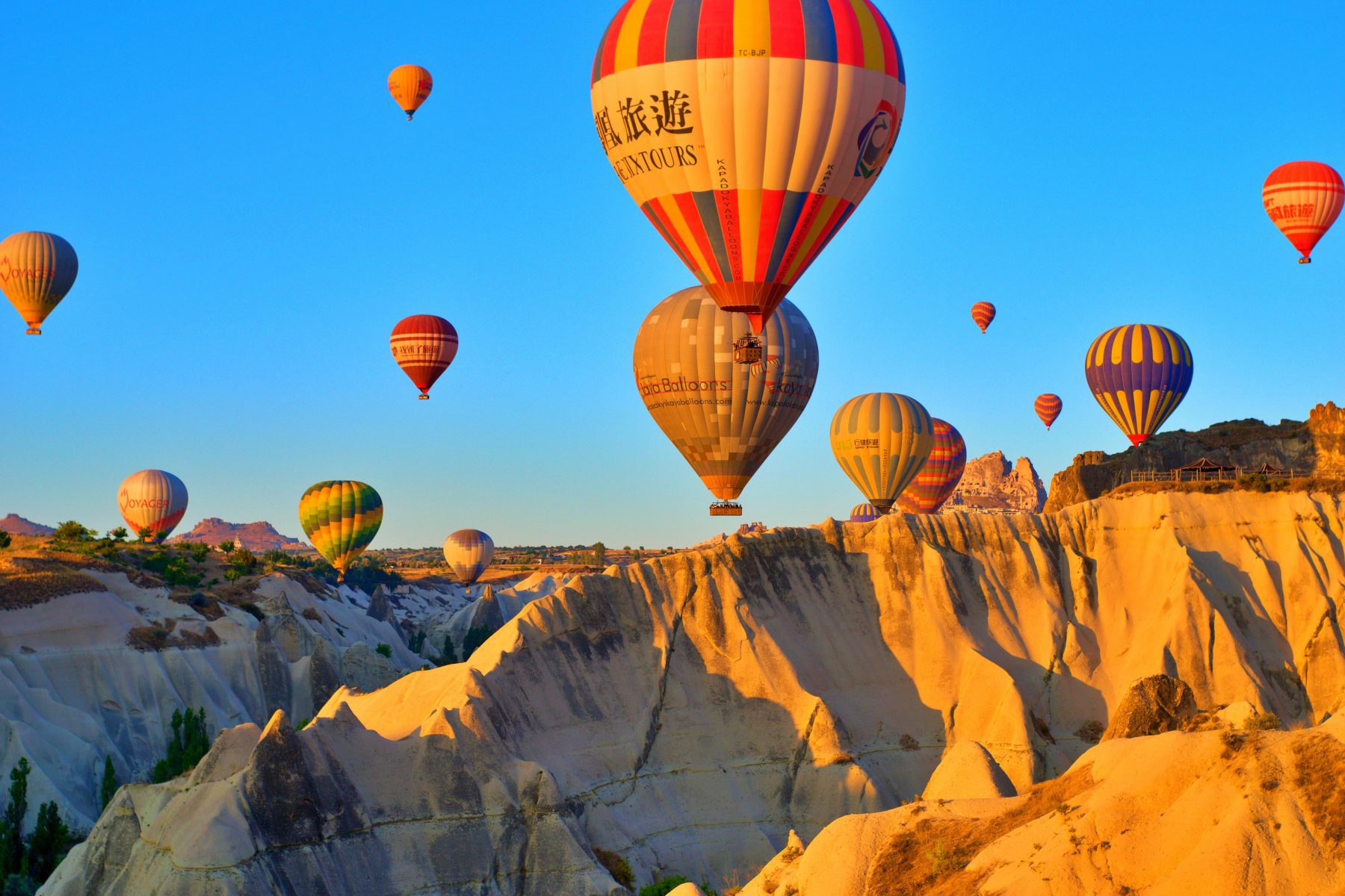 Een groep luchtballonnen boven Cappadocia.