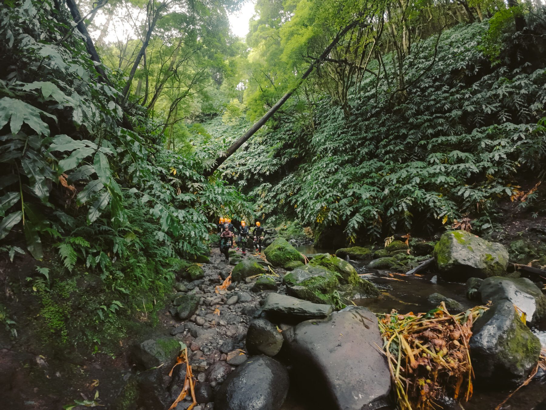 groep mensen loopt door kloof op São Miguel