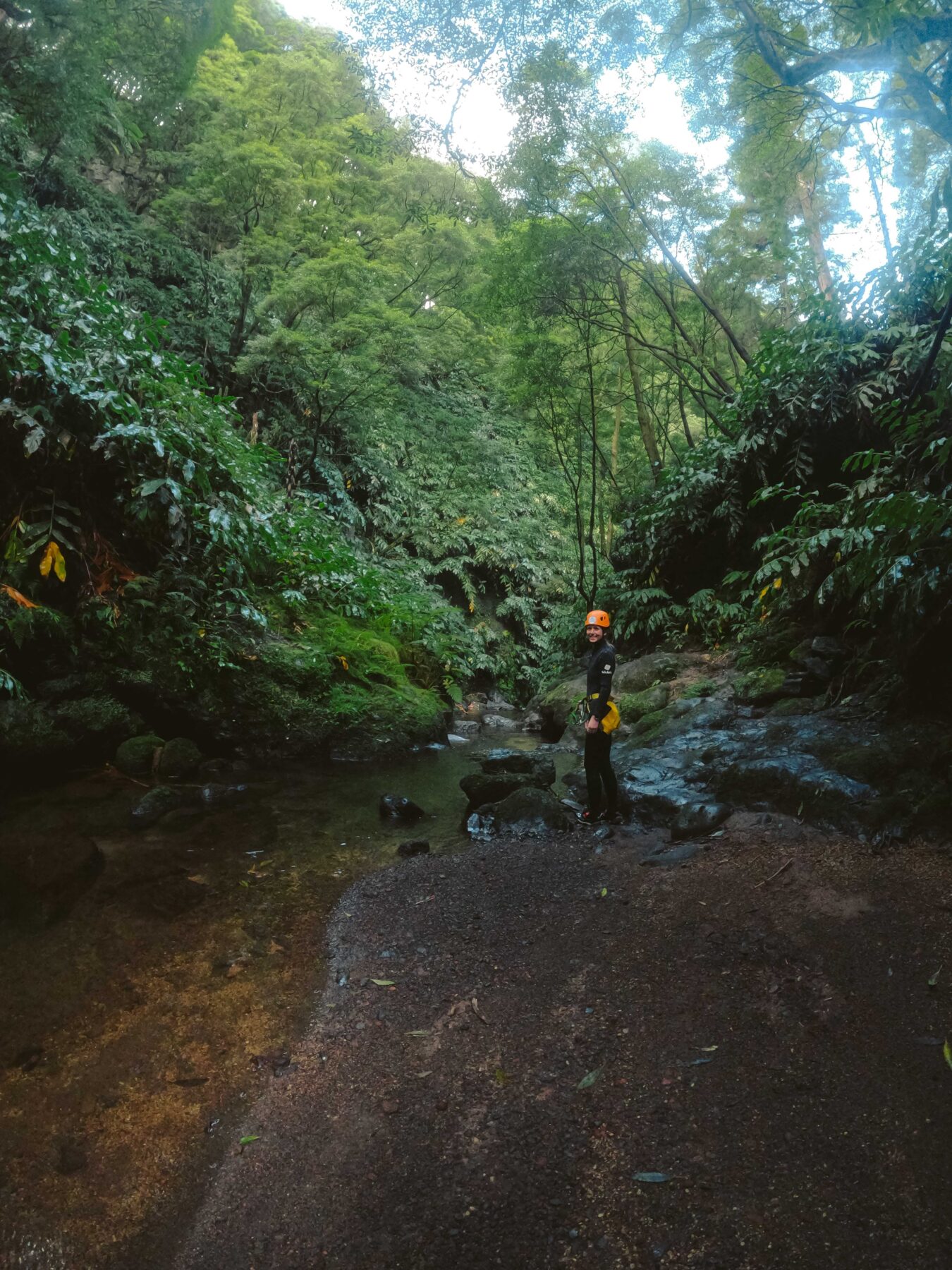 vrouw in weelderig bos azoren