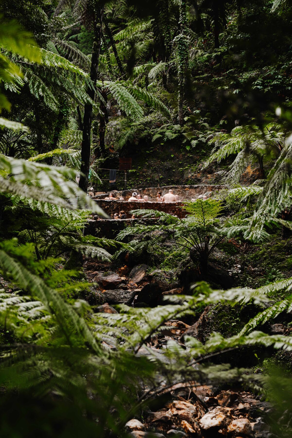 Warme waterbron in weelderig bos op São Miguel