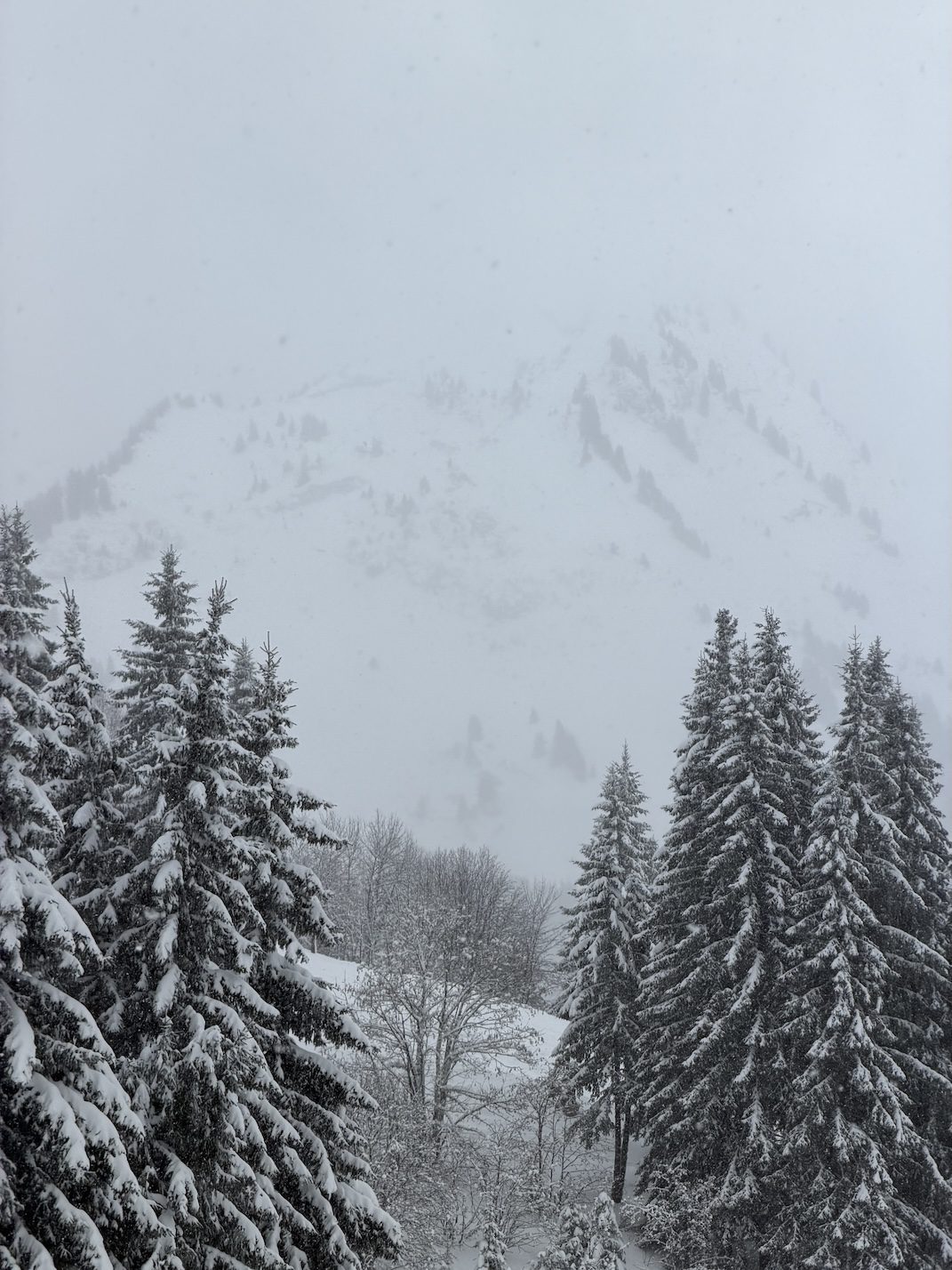 Chatel in de mist