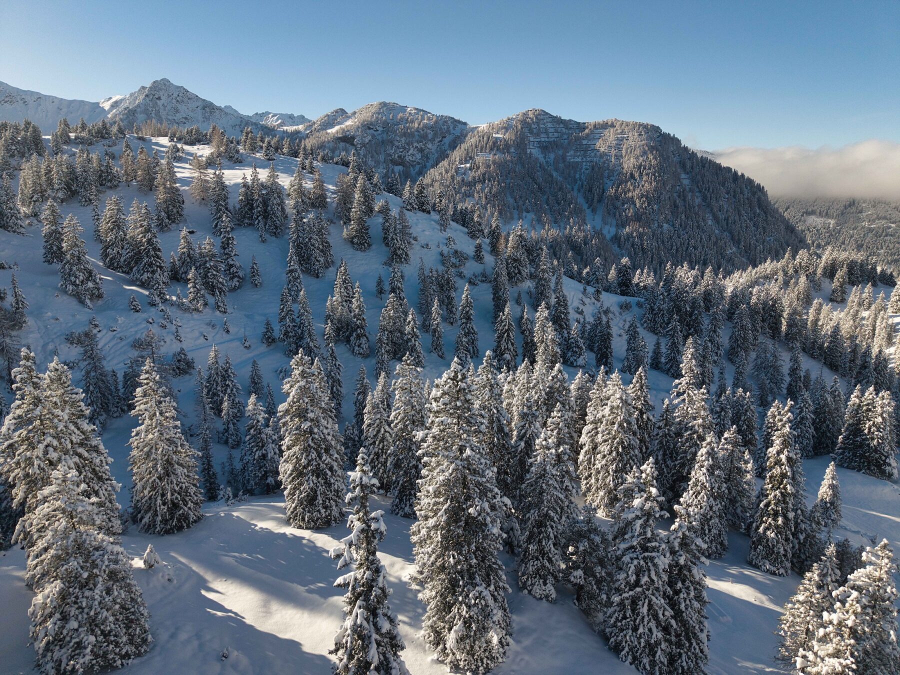 Luminar Neo upscale AI