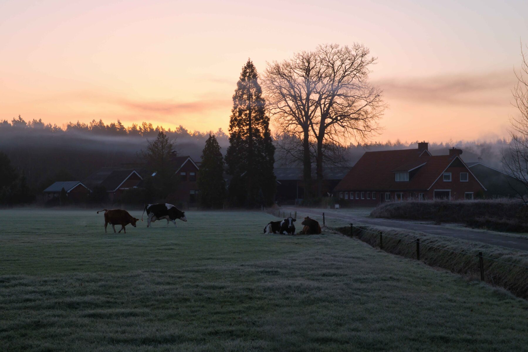 Luminar Neo luchtverbetering