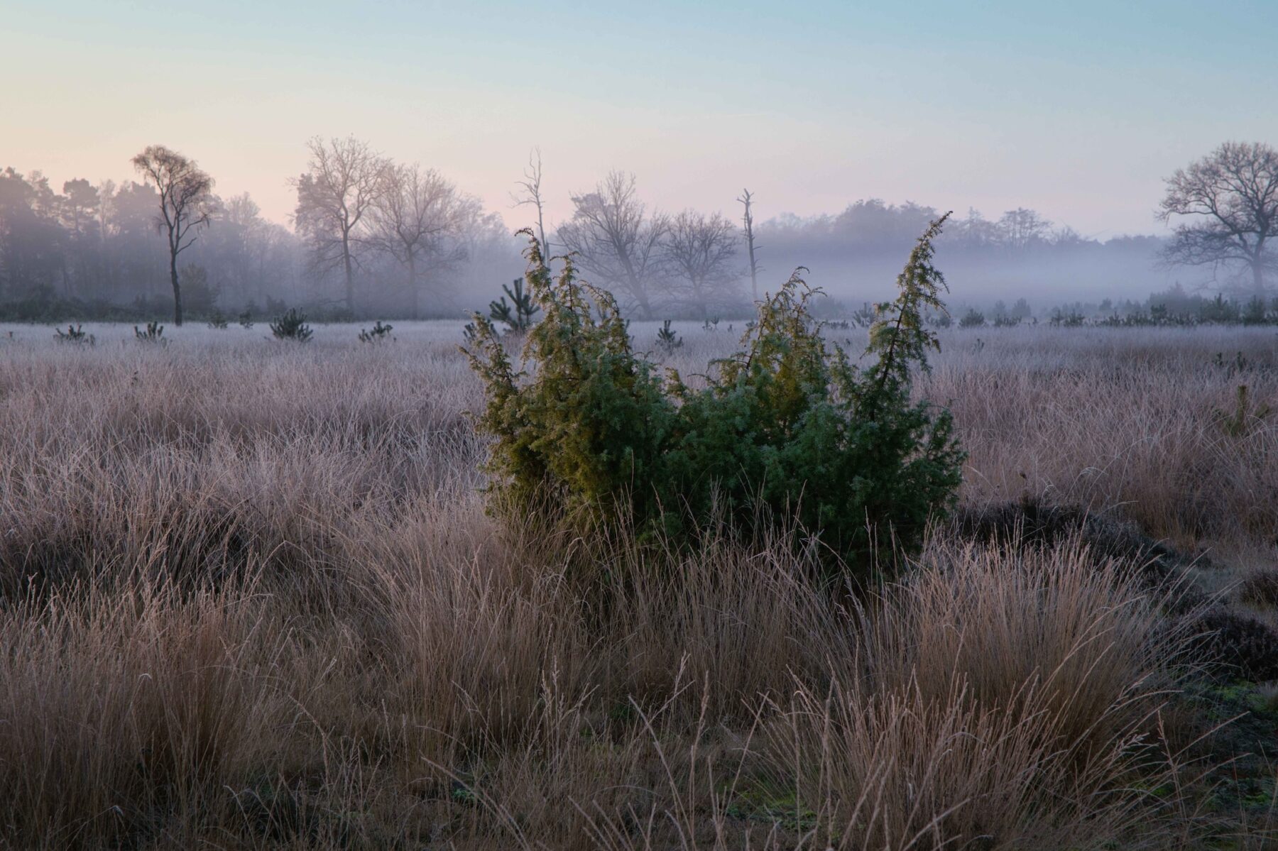 Luminar Neo verbeteren AI