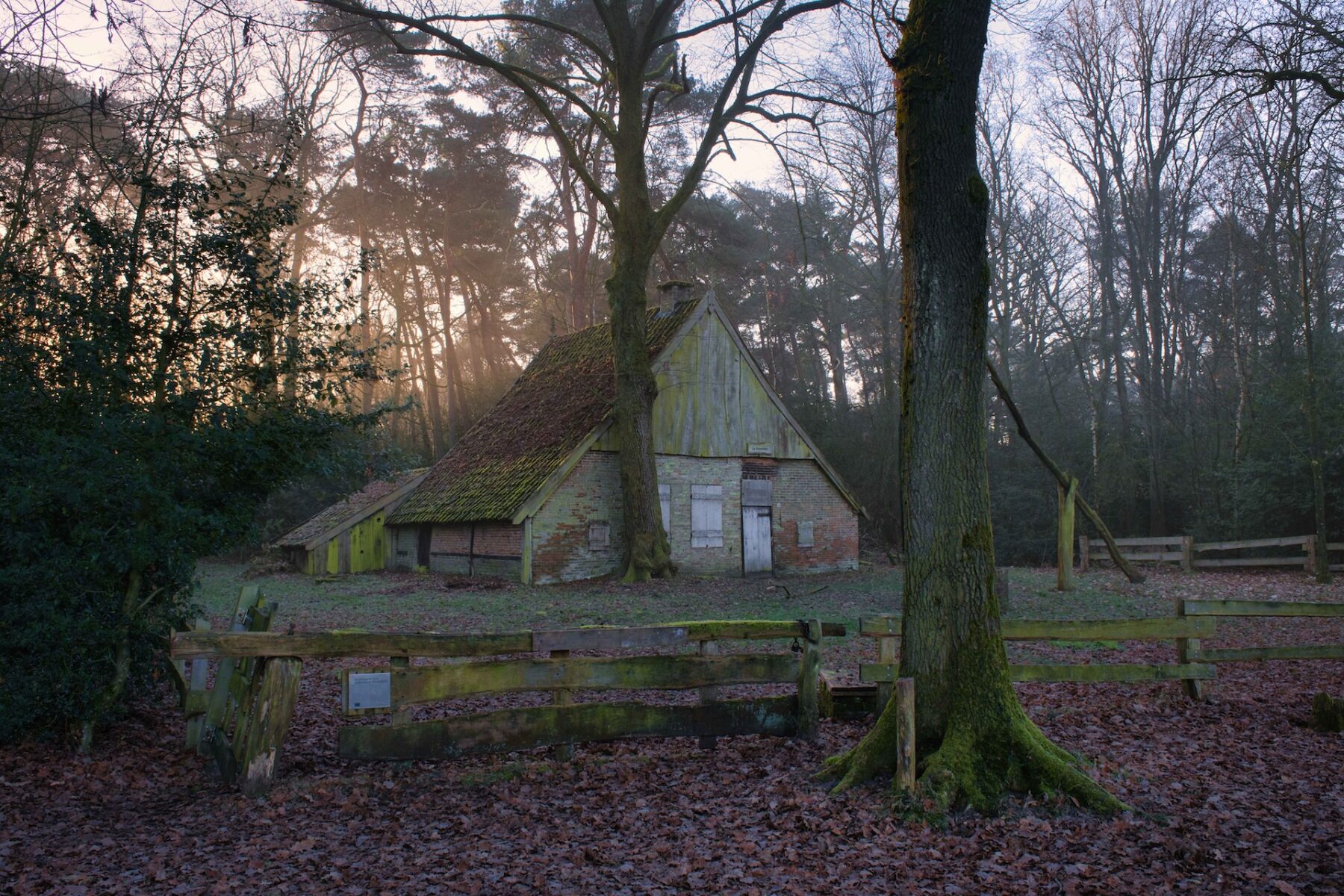 Luminar Neo schemerversterking