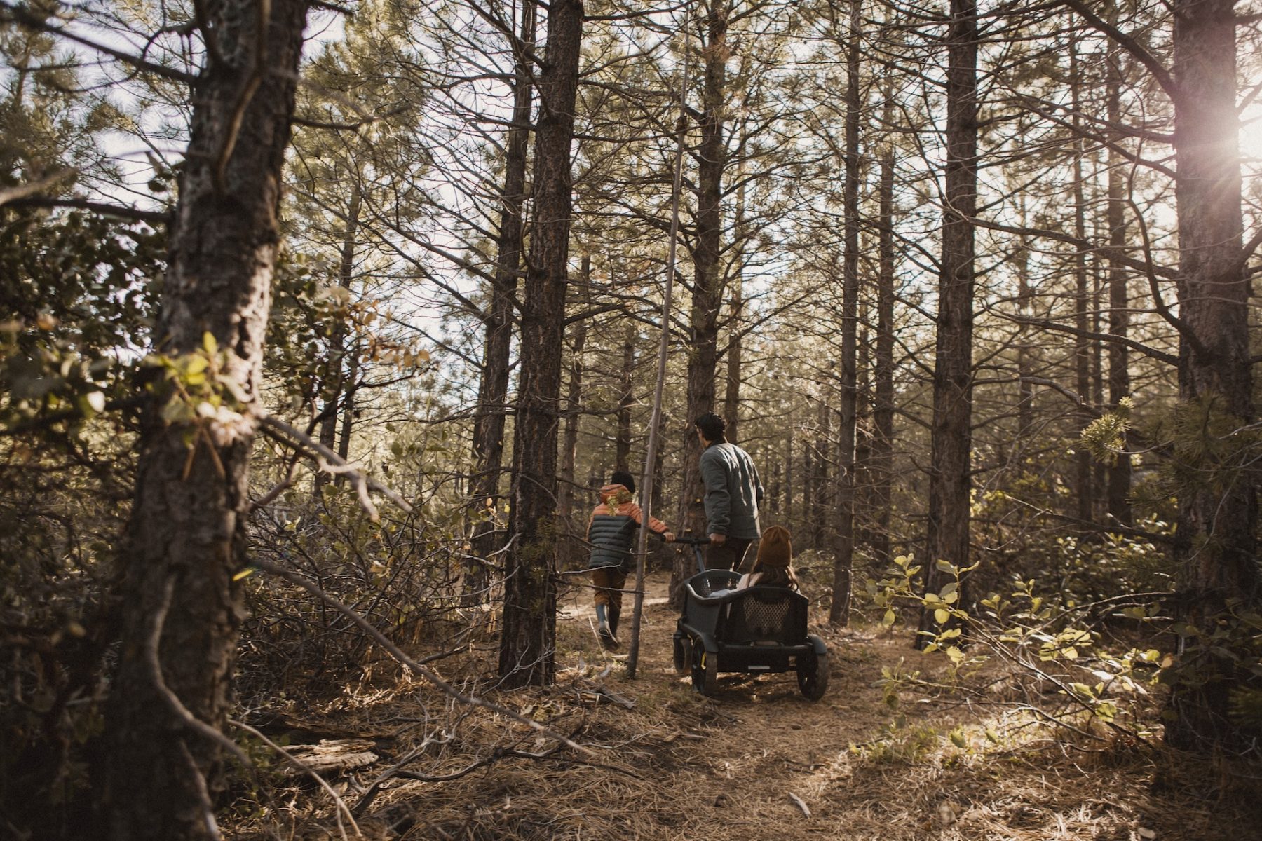 Veer Cruiser XL in het bos getest