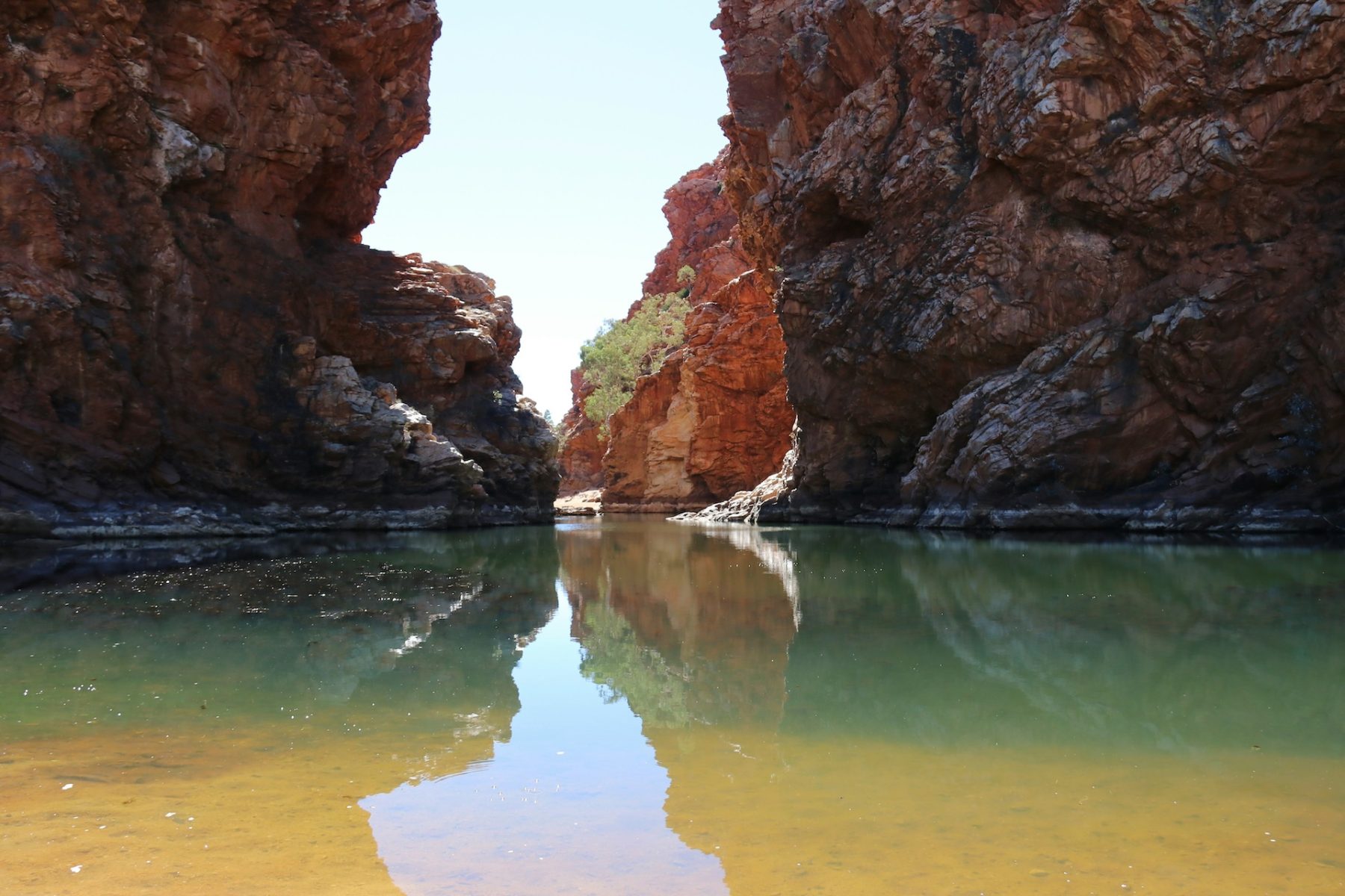 Canyon van de Larapinta Trail 