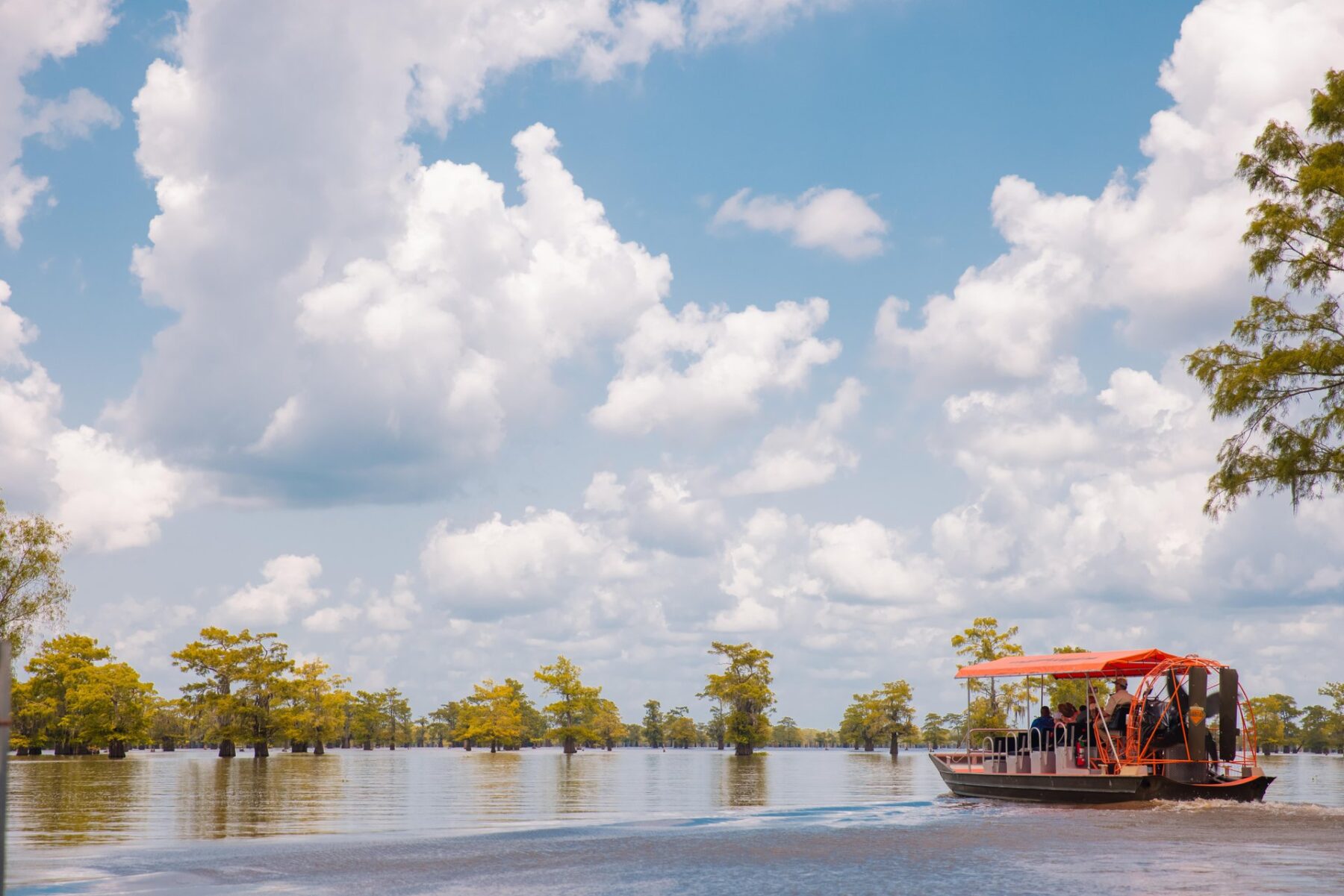 Ontdek de wetlands van Louisiana in de Gulf Shores regio
