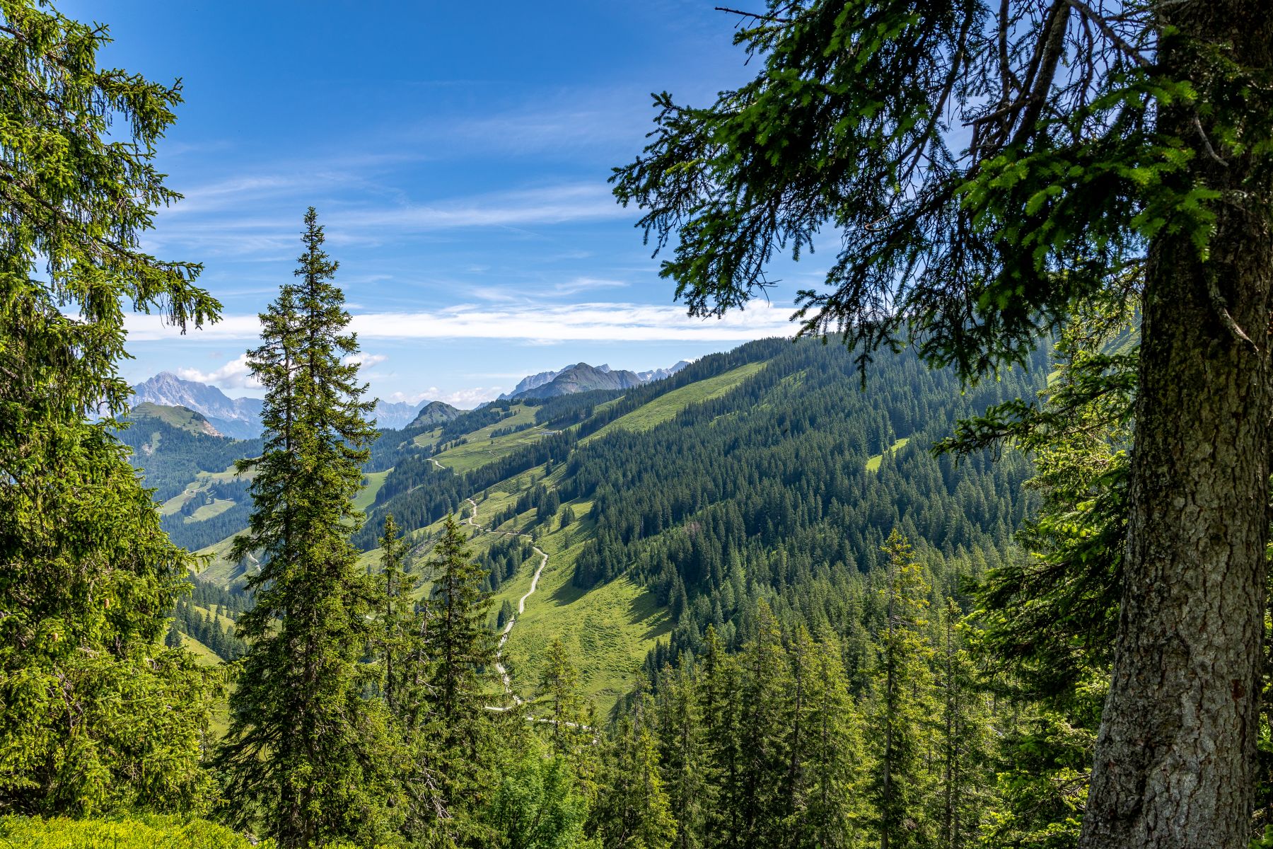 De prachtige omgeving van Viehhofen, Saalbach en Hinterglemm