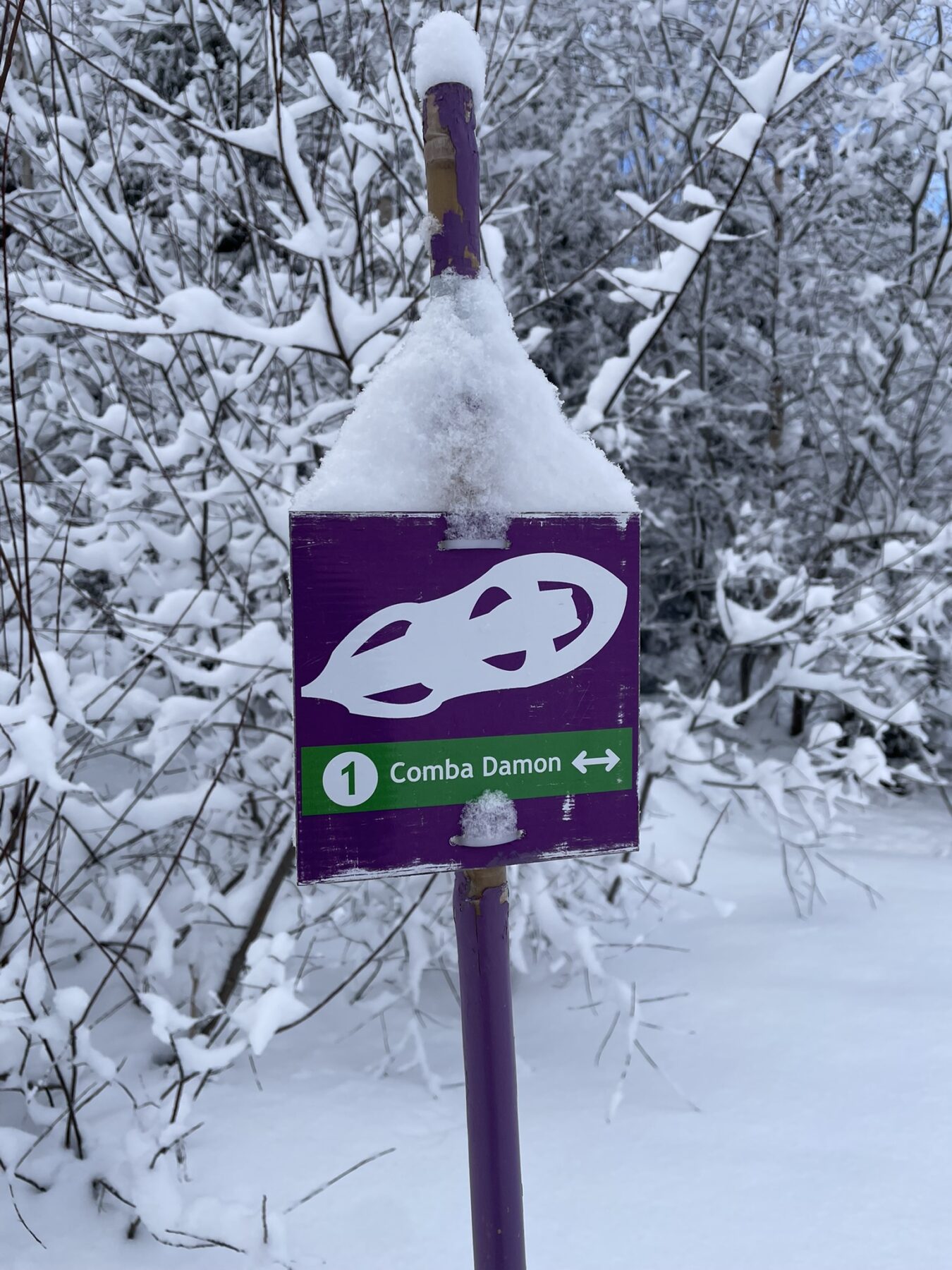 Coma Damon route sneeuwschoenwandelen