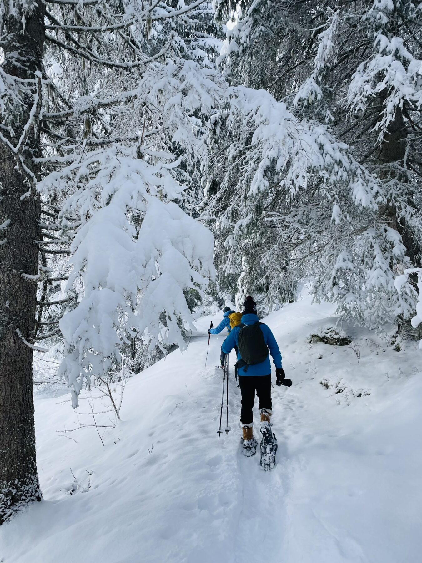 sneeuwschoenwandelen