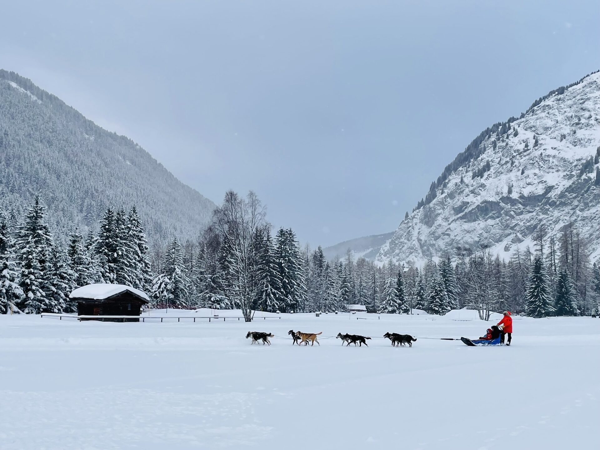 sledehonden in Champagny le Haut