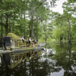 Ontdek de wetlands van Louisiana in de Gulf Shores regio