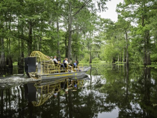 Ontdek de wetlands van Louisiana in de Gulf Shores regio