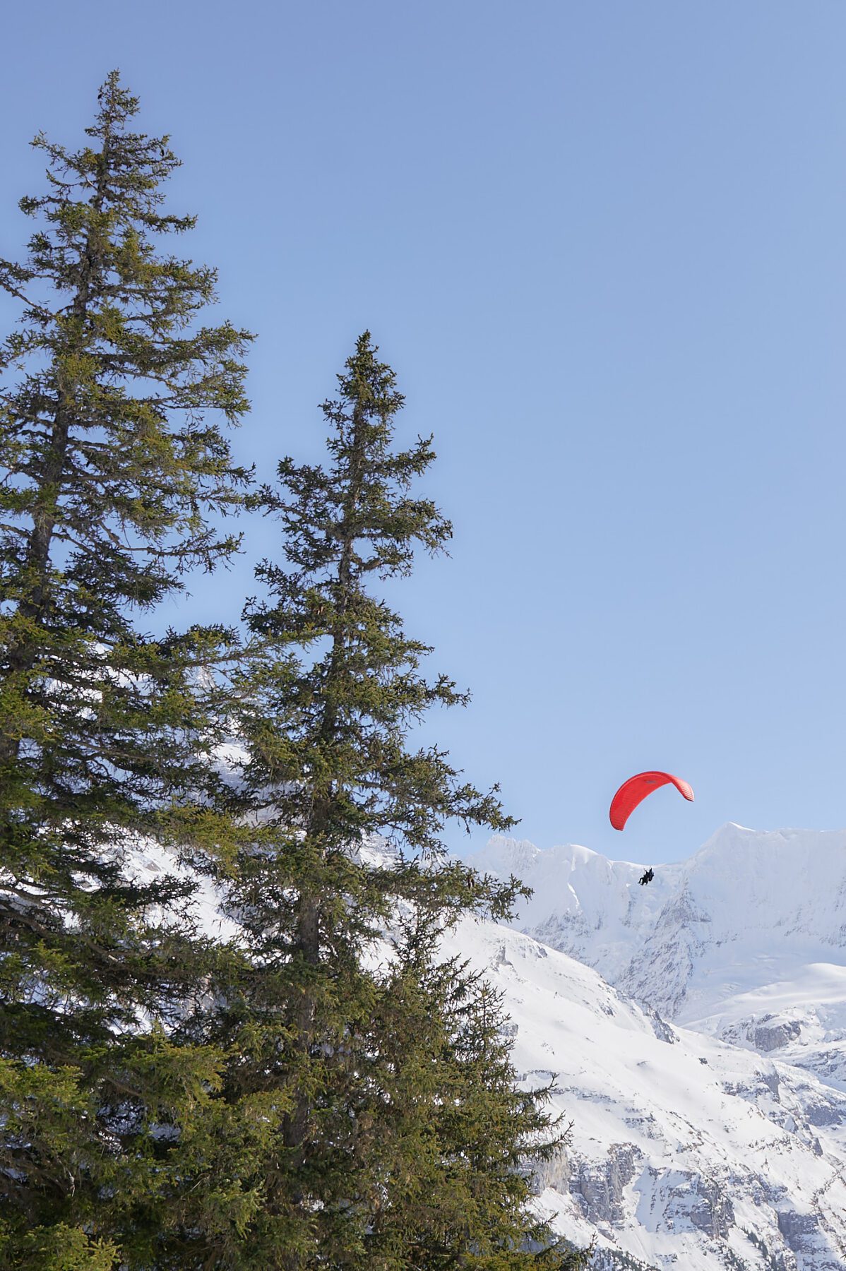 Paraglider boven Mürren