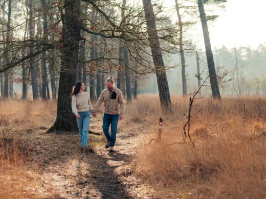 Drenthe Buiten-bereik-wandelroutes