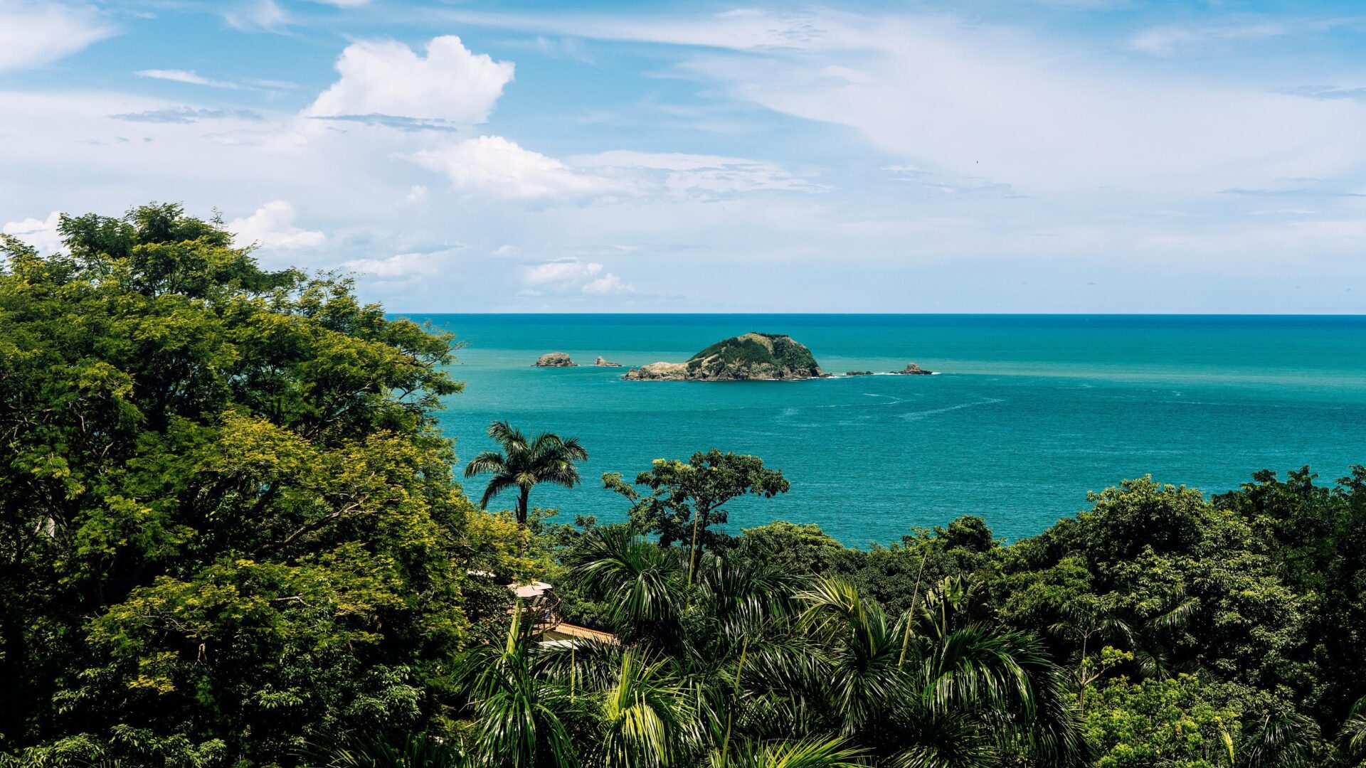 Groene bomen bij een blauwe zee onder een blauwe lucht overdag in Costa Rica.