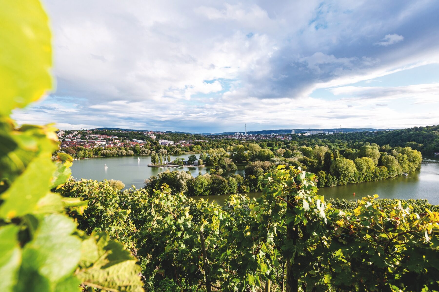 Europa, Deutschland, Baden-Wuerttemberg, Stuttgart-Muehlhausen, Neckar, Steillagen, Weinberge