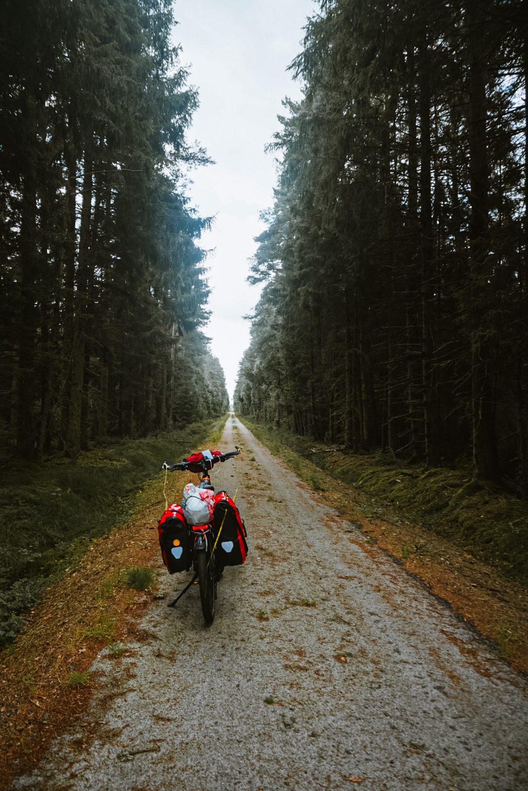 Sammy bikepacken Stockholm Rotterdam fiets