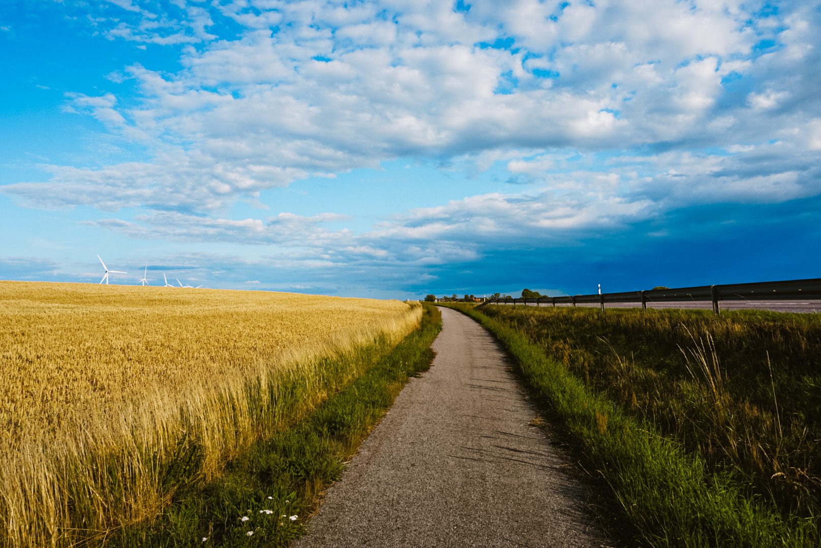 Fietsen van Zweden naar Nederland
