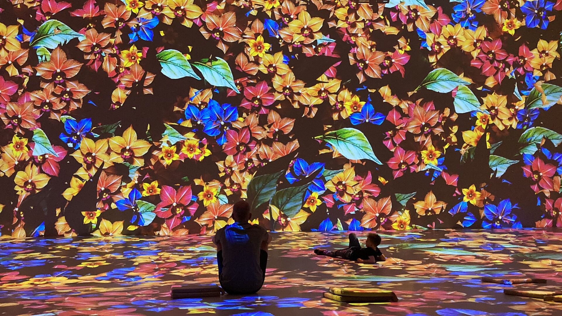 Madeira met kinderen - Immersive Museum of Madeira