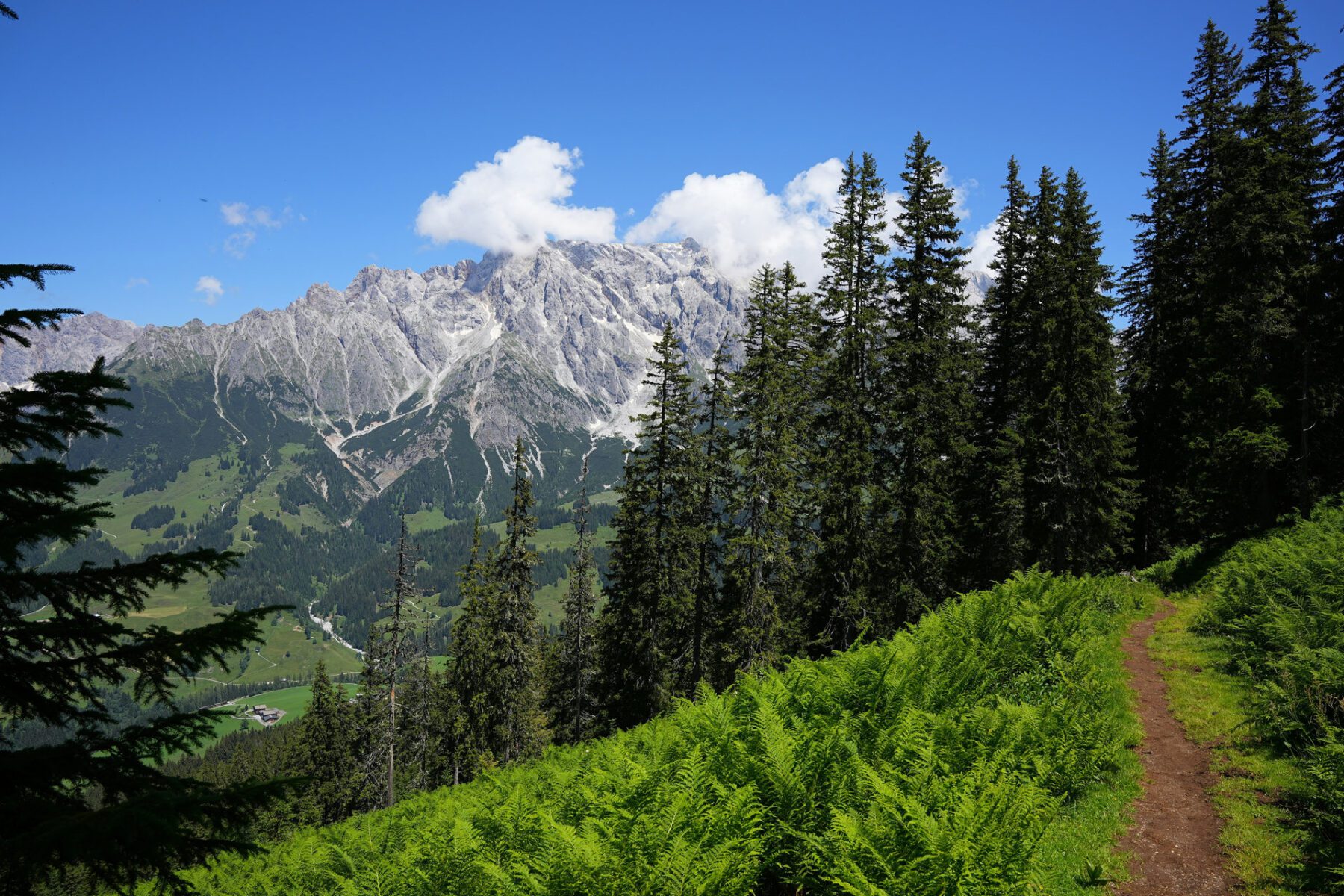 Wandelen over de Pinzga Hatscha in het SalzburgerLand