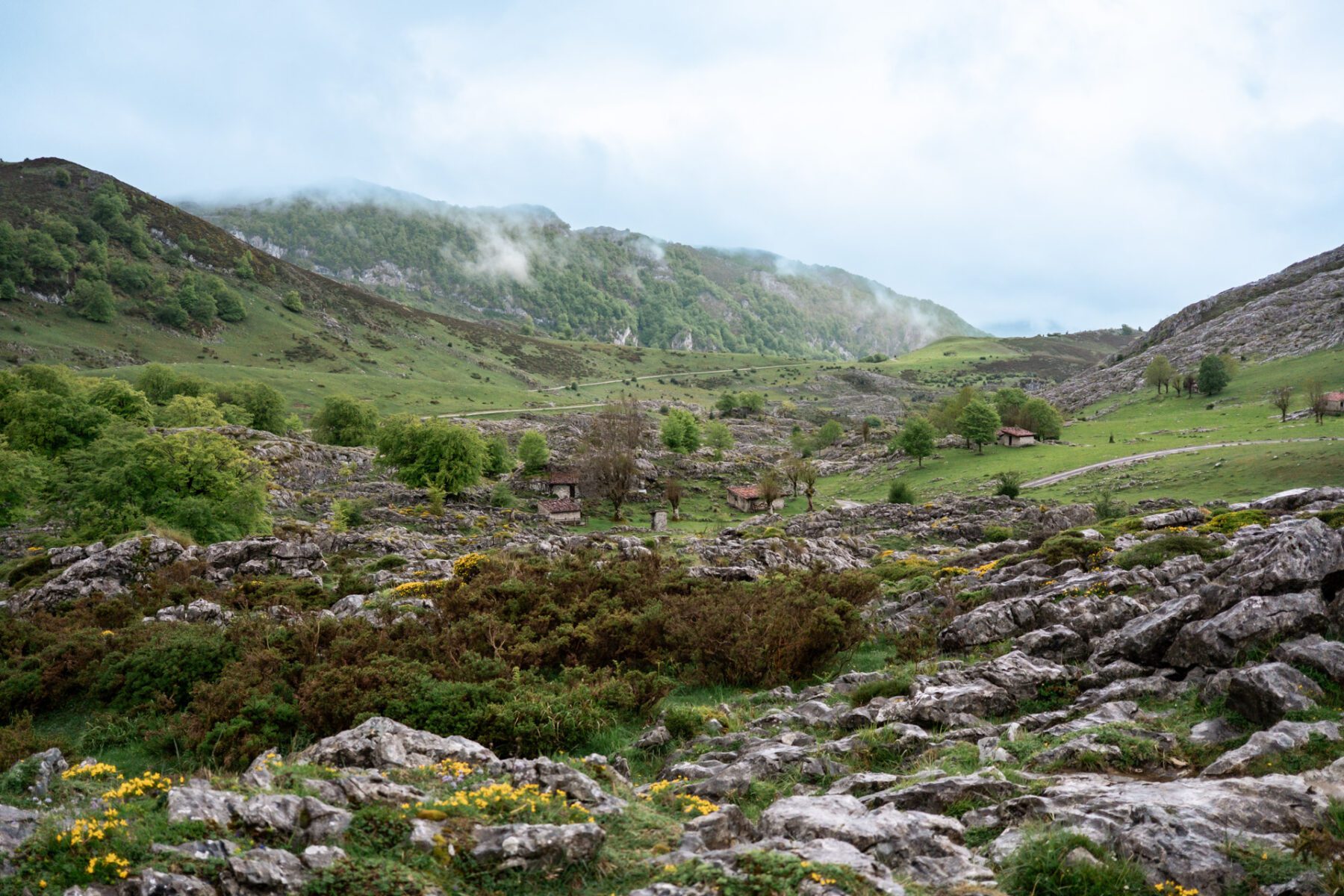 Picos de Europa
