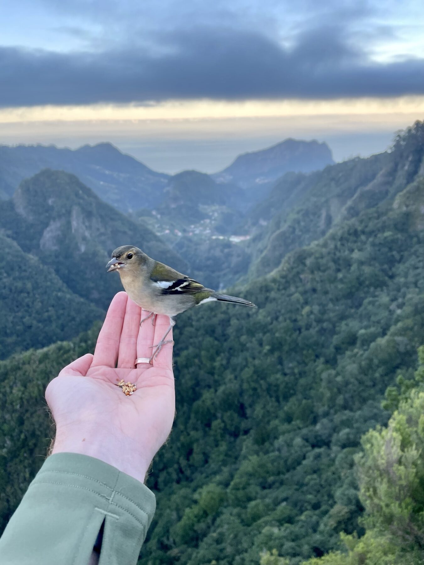 Madeira met kinderen - Vereda dos Balcões
