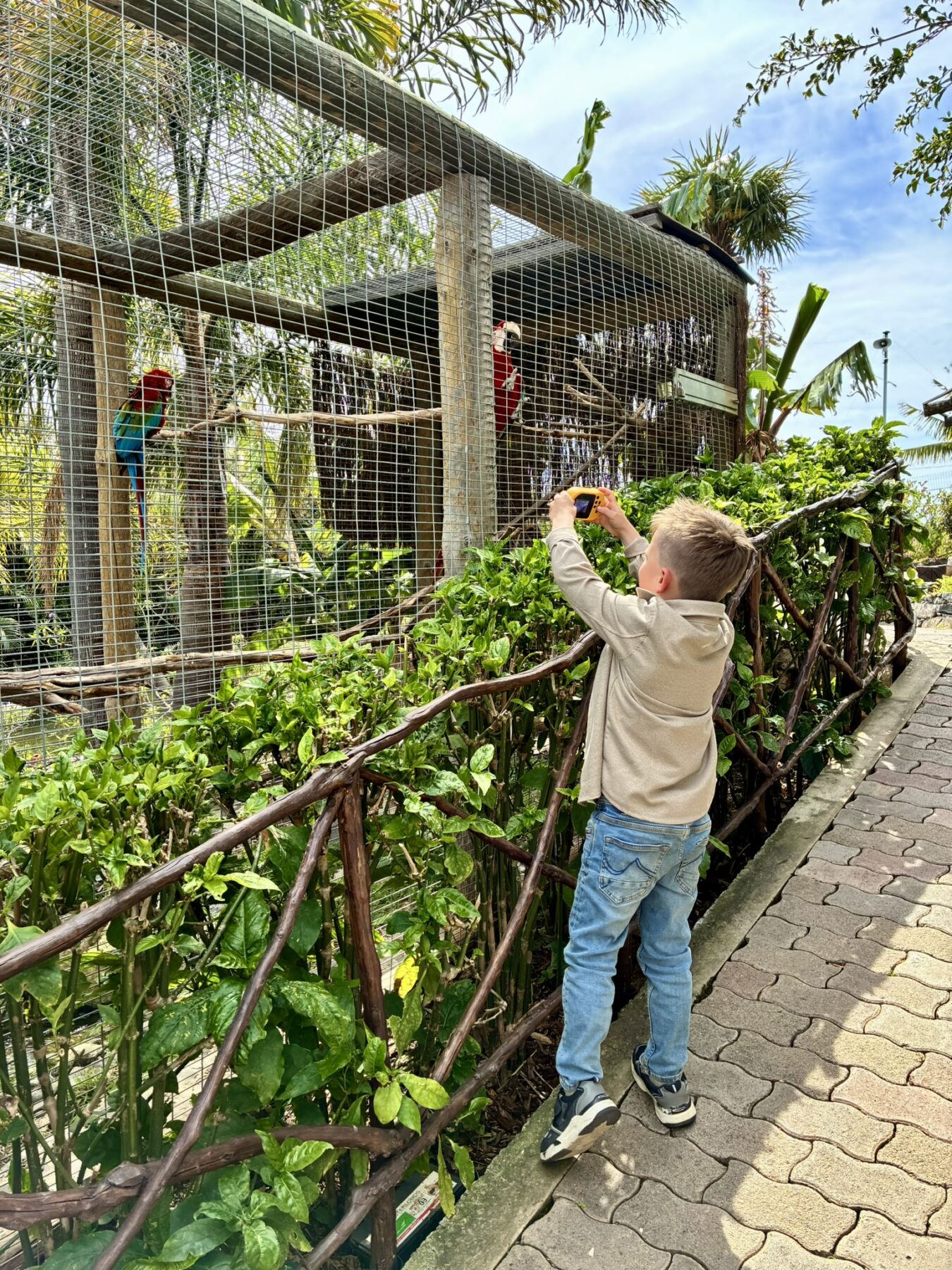 Madeira met kinderen - Ilha das Aves