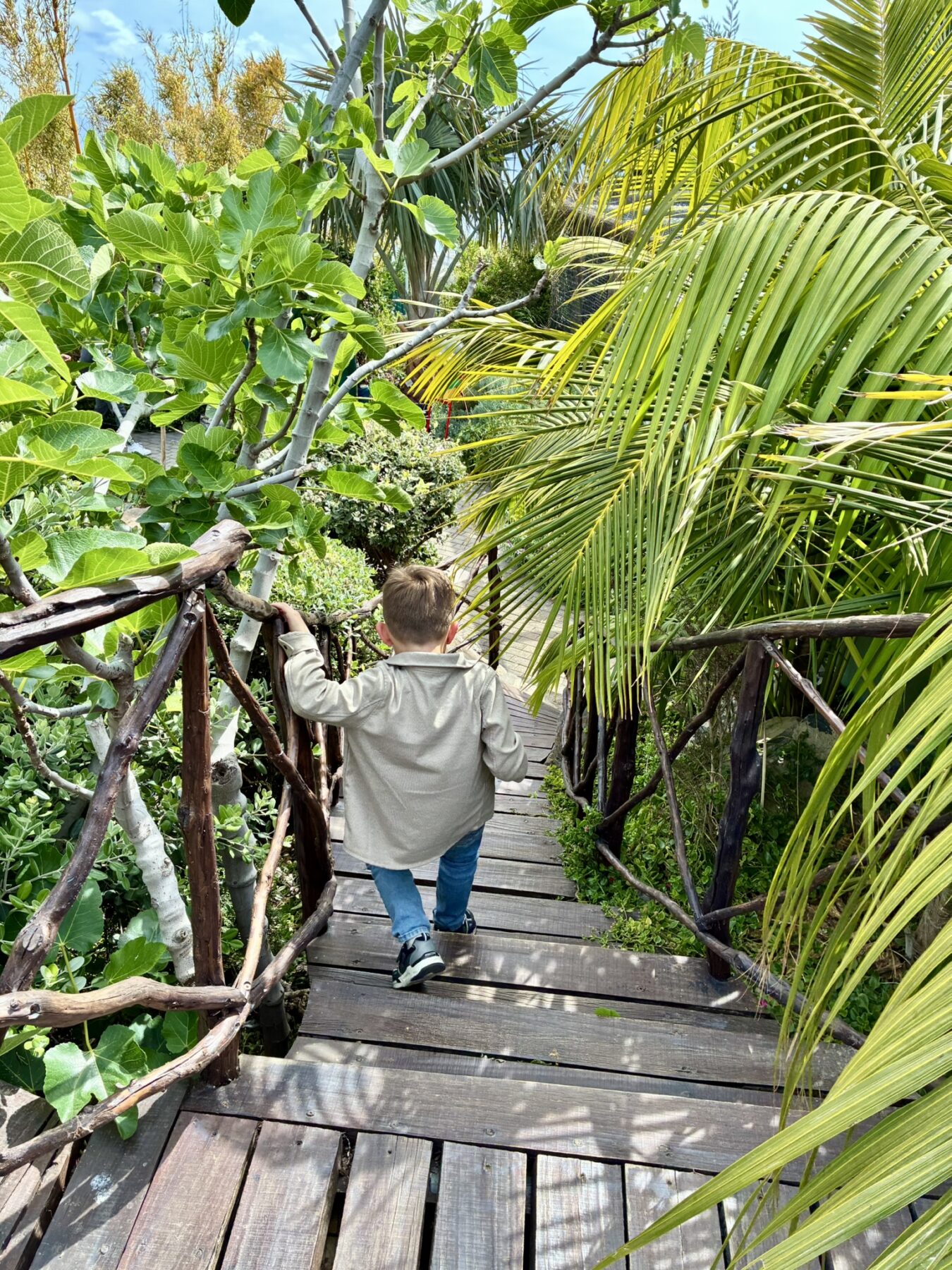 Madeira met kinderen - Ilha das Aves