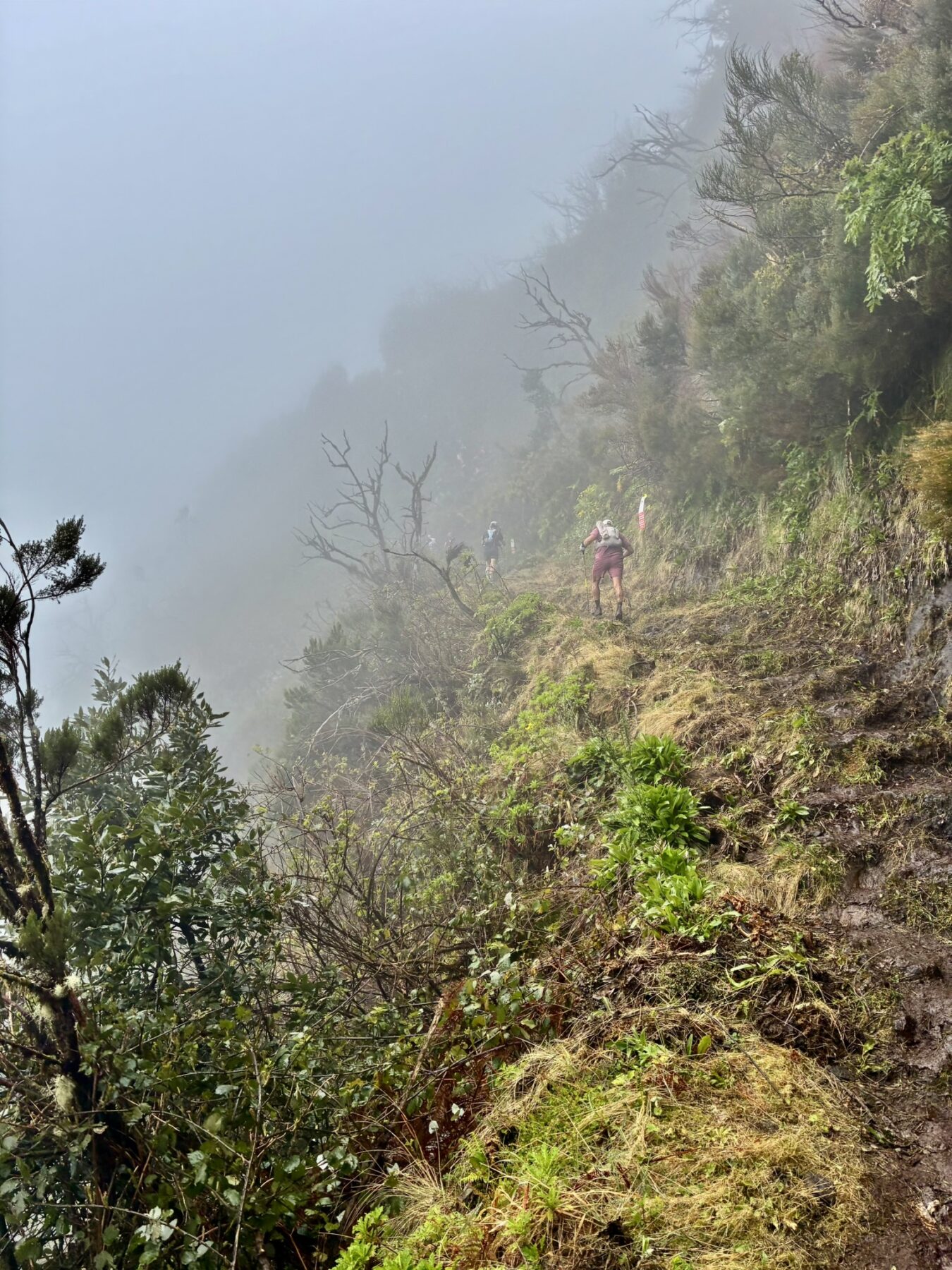 MIUT Discover