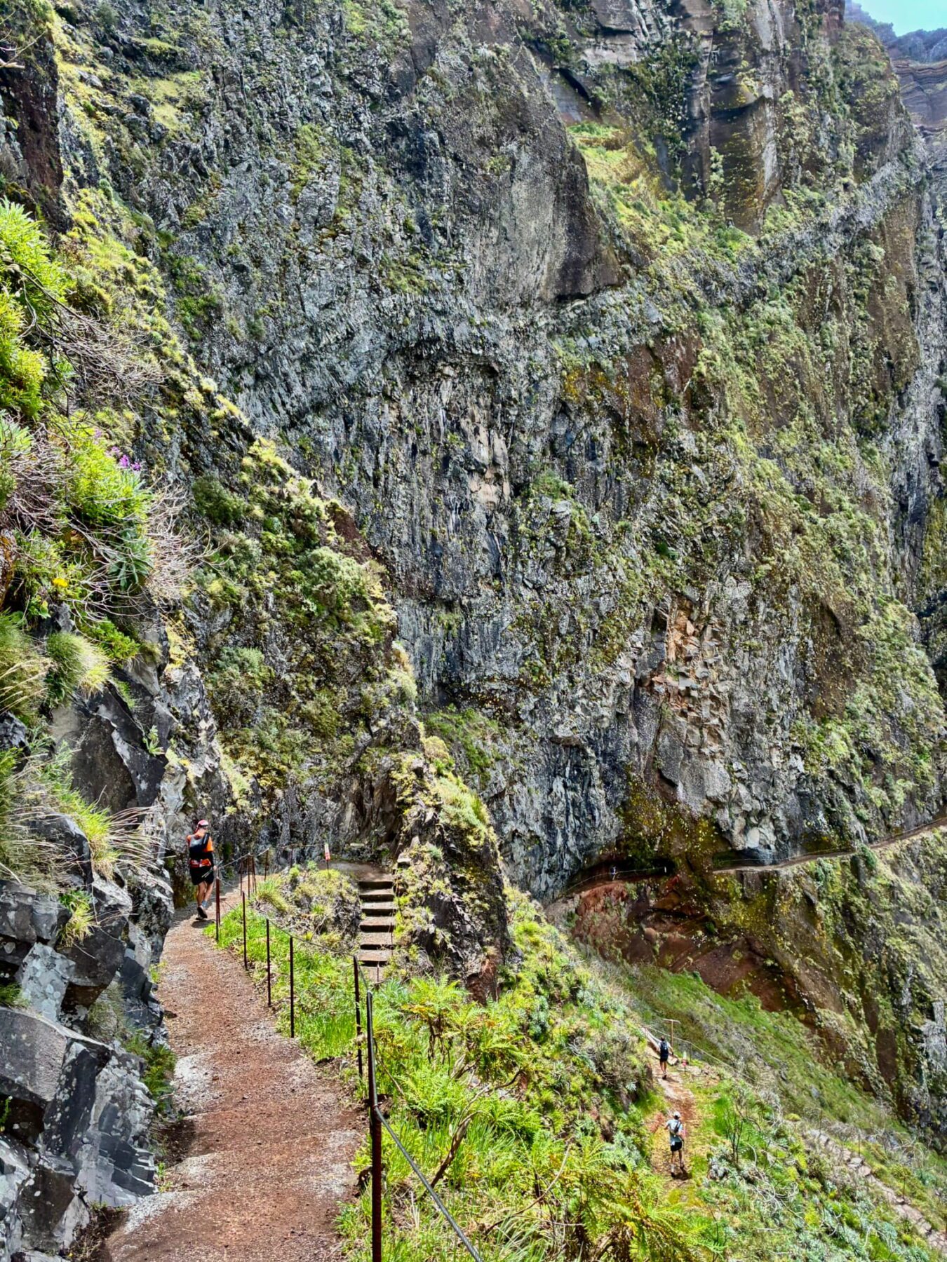 MIUT Discover