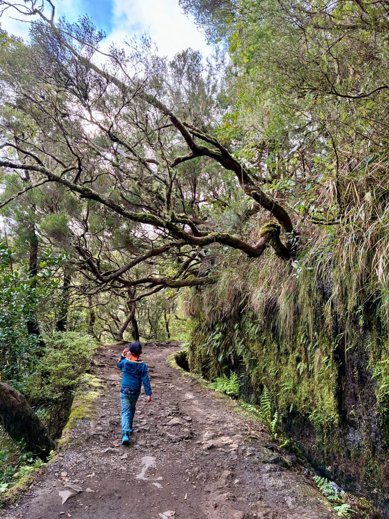 Madeira met kinderen - levada walk