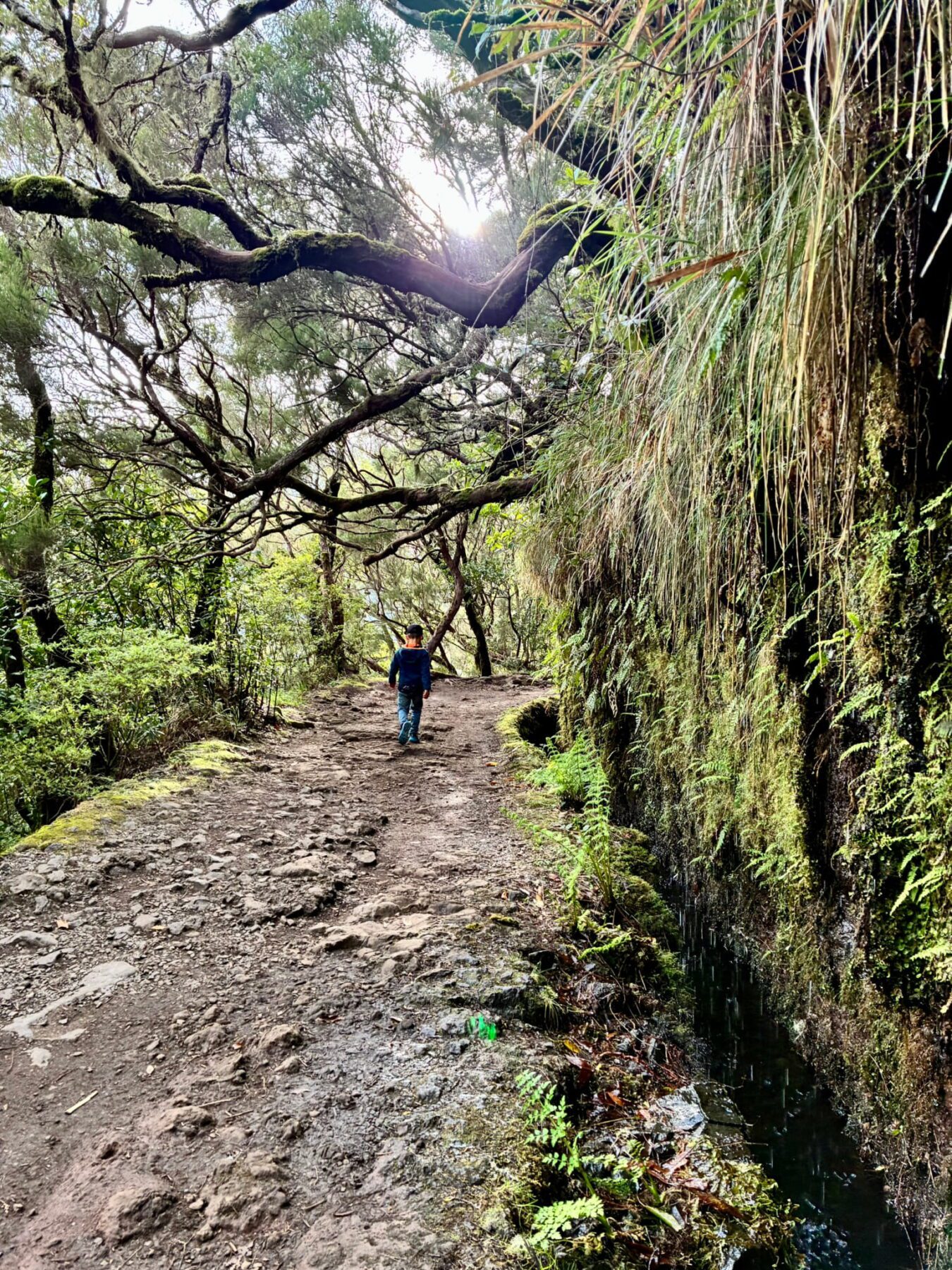 Madeira met kinderen - Levada do Risco