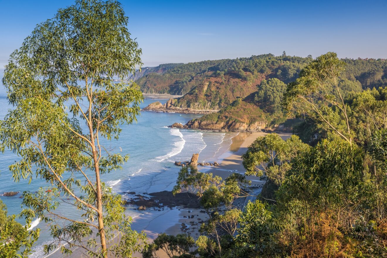 Playa de Aguilar vanuit Mirador Aguilar