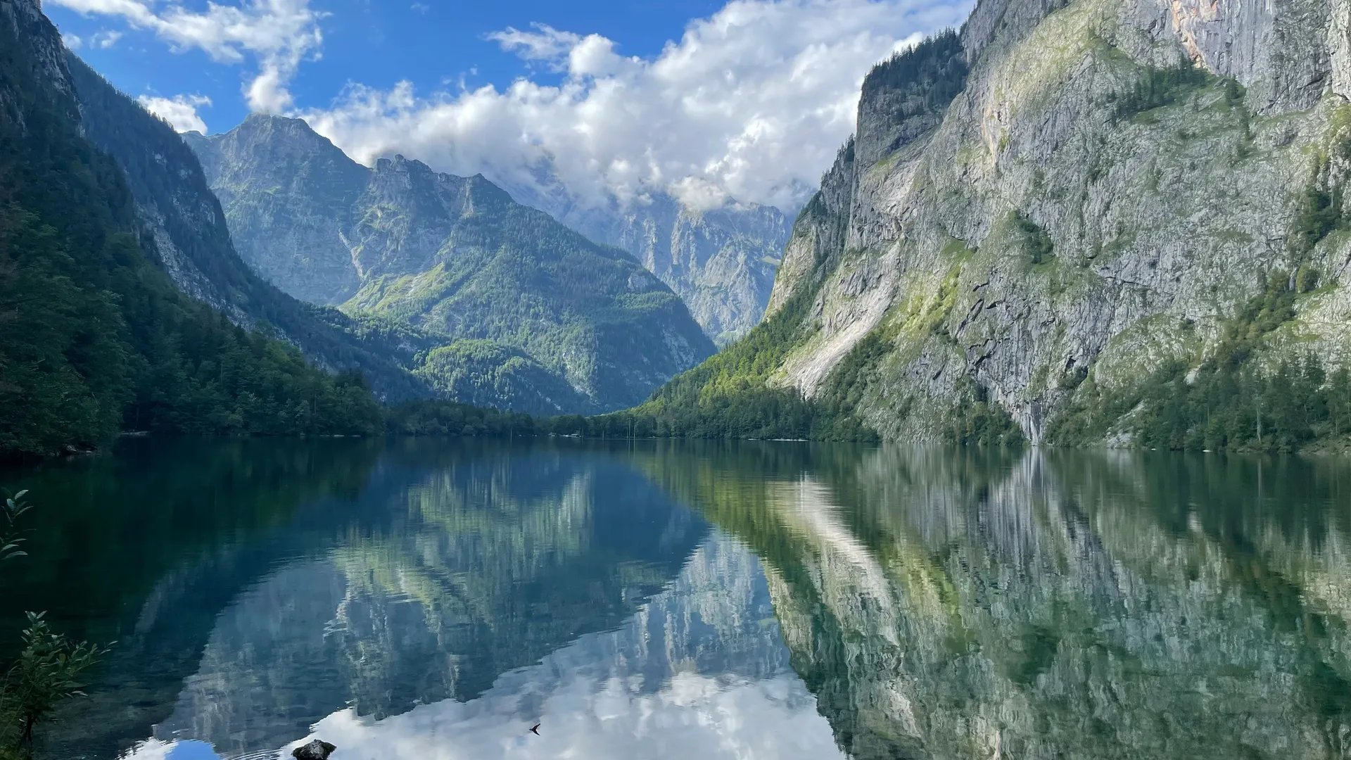 De Königssee
