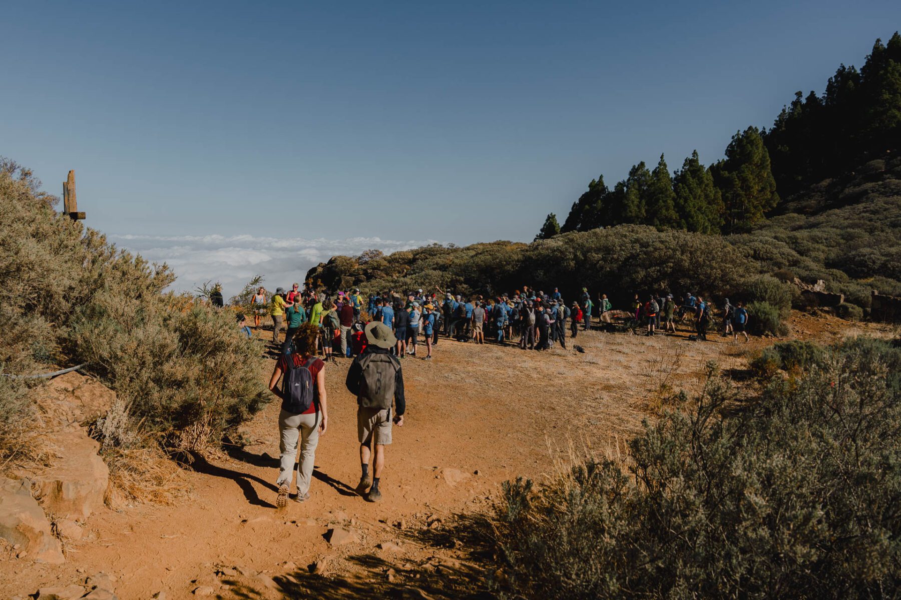 Samen wandelen tijdens het Gran Canaria Walking Festival