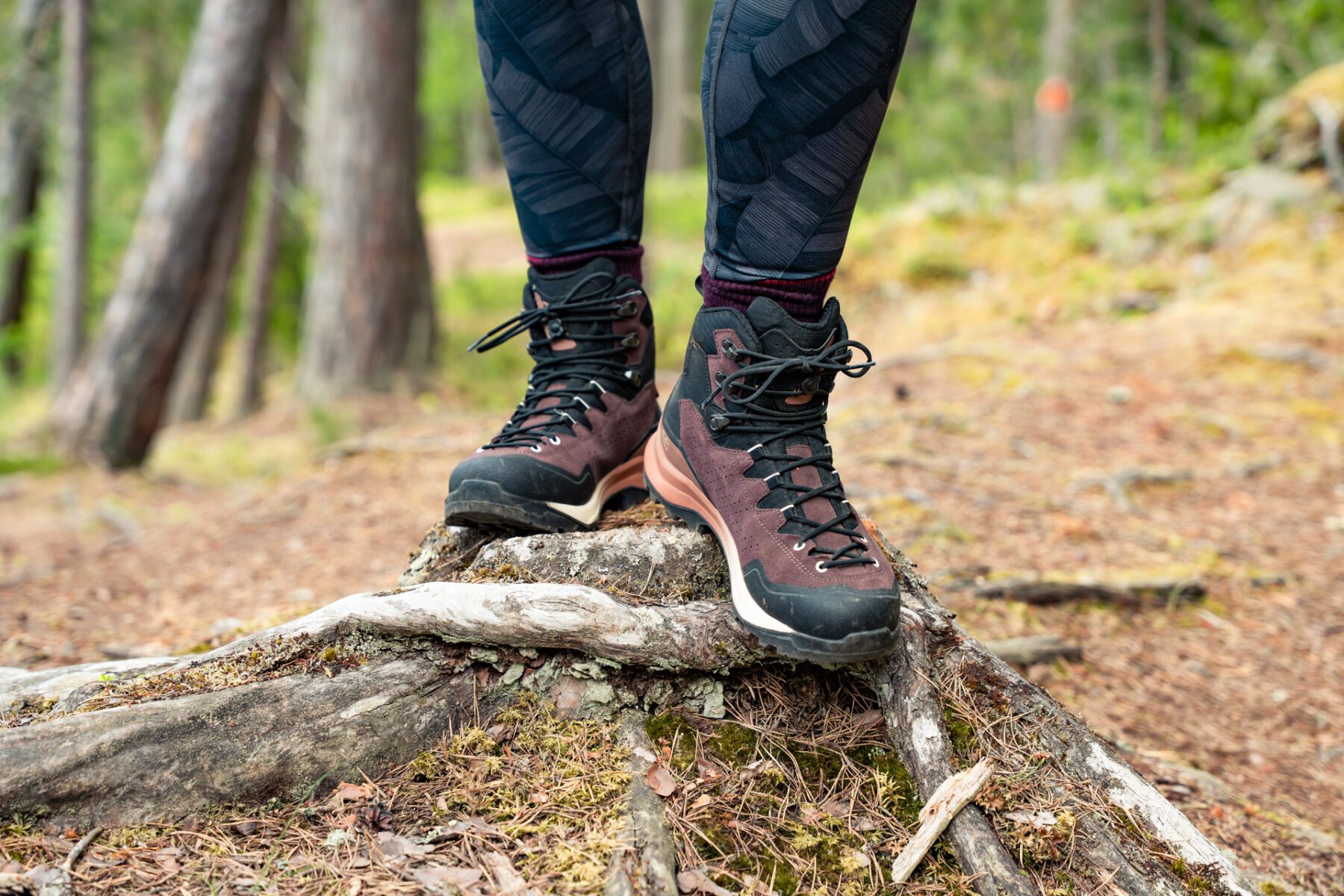 LOWA Explorer GTX dames