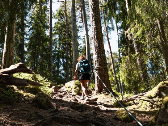 Wandelen in Småland, Zweden