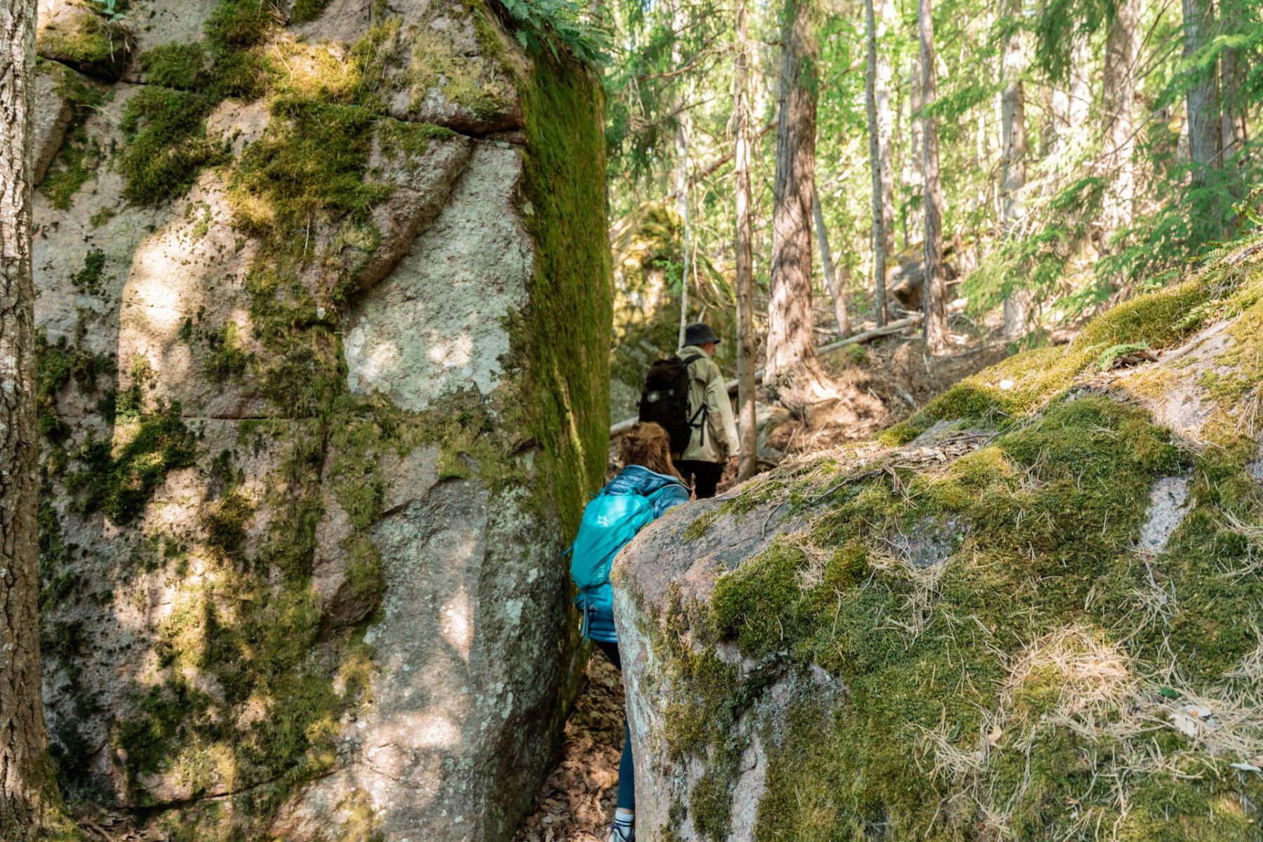 Tjustleden Naturreservat Mörtfors