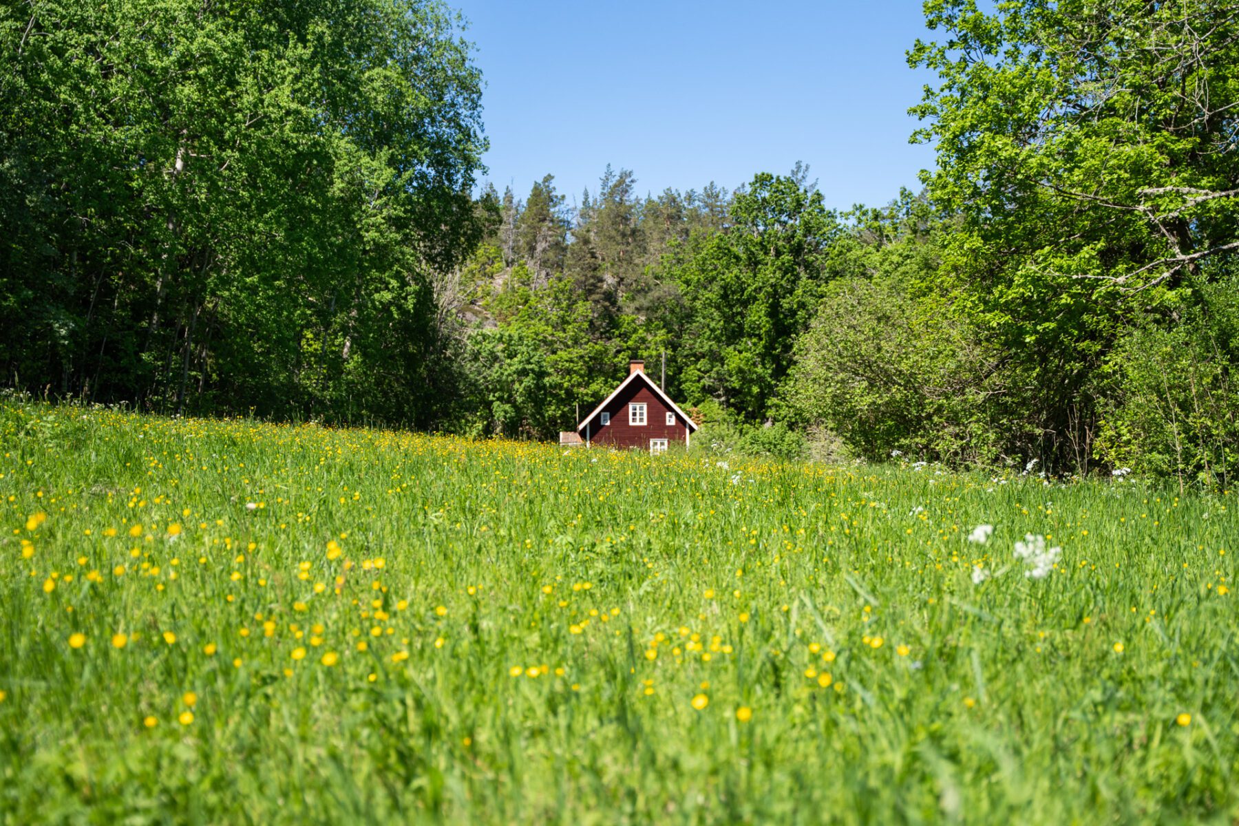 Rode huizen typisch Småland en Zweden