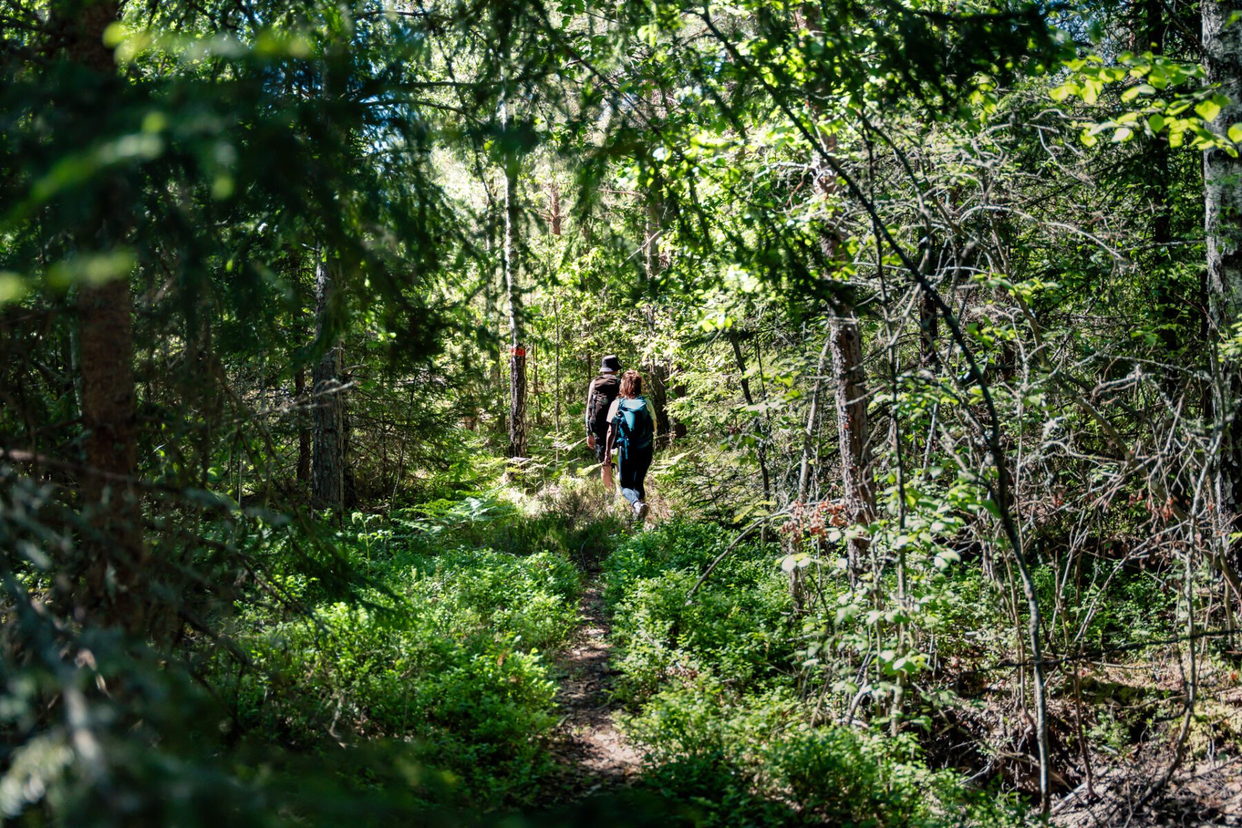 Tjustleden, Småland, Zweden