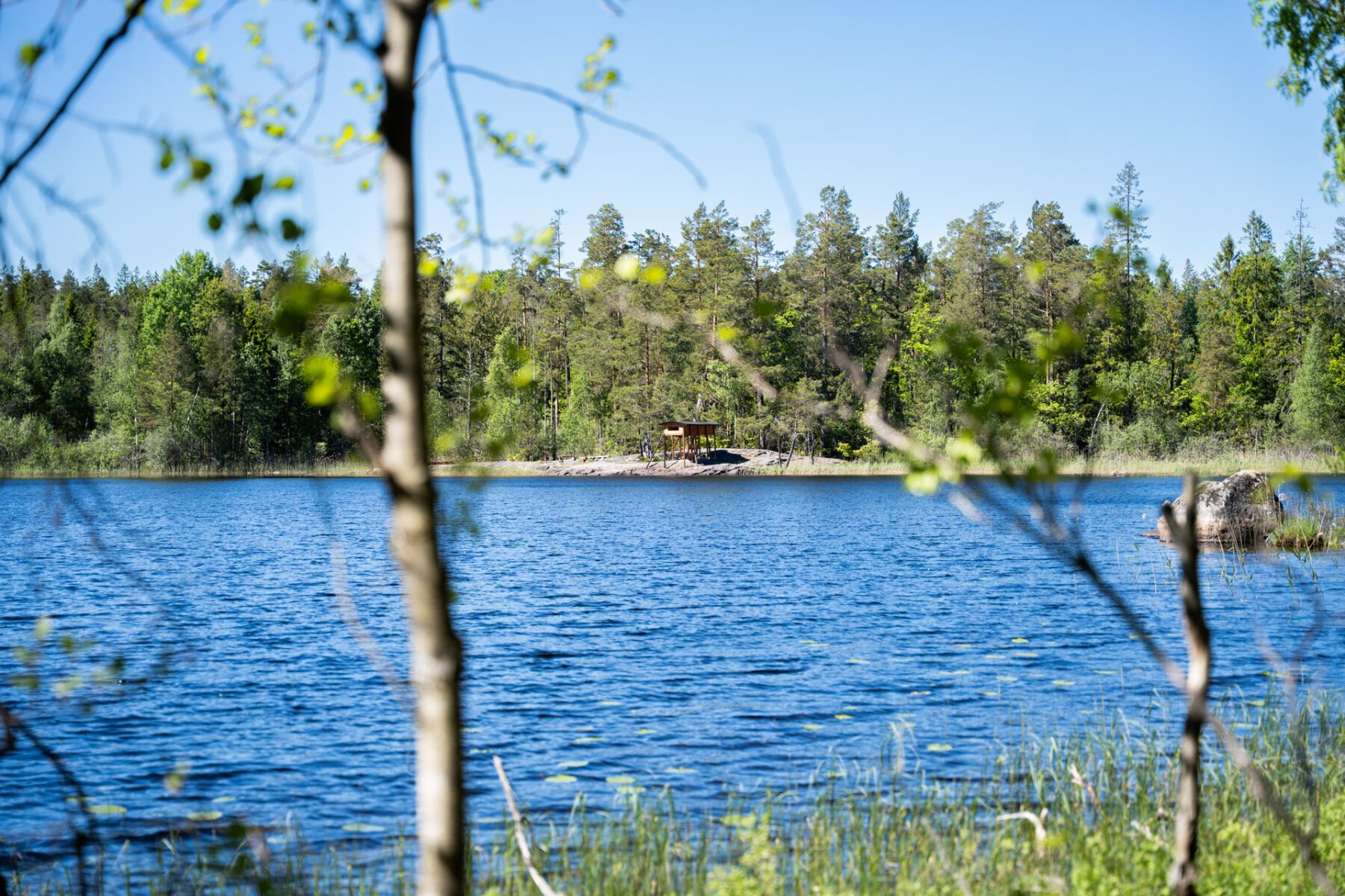 Tällsjön meer en Wanderer shelter