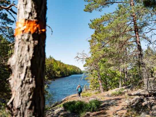 Tjustleden trail met markering