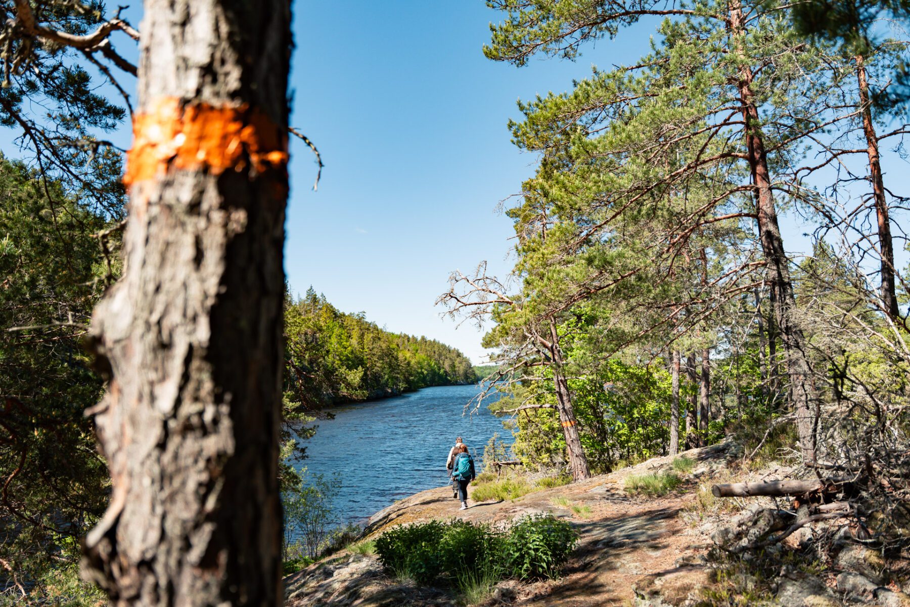 Tjustleden trail met markering