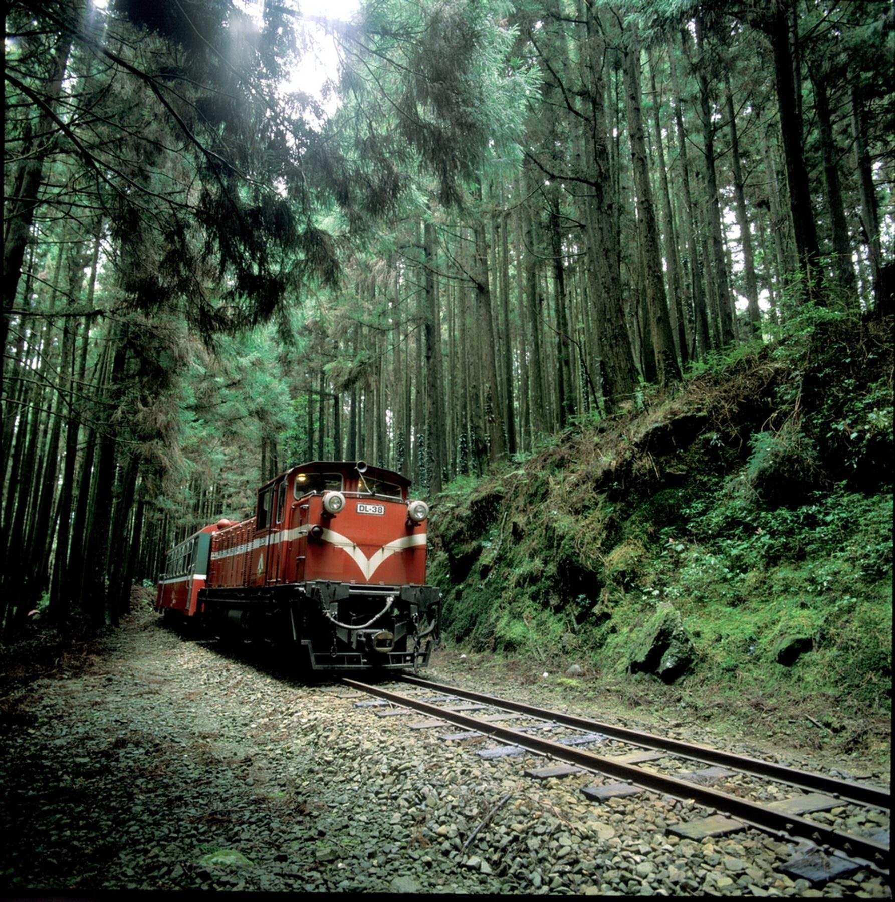 De Alishan Forest Railway