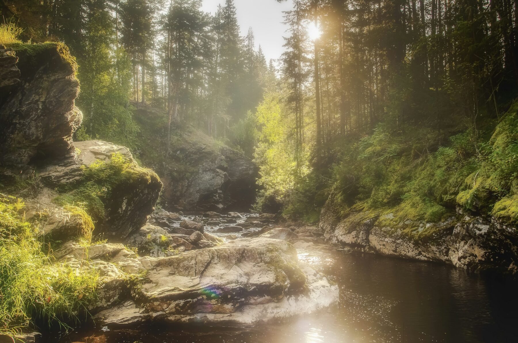 Natuur